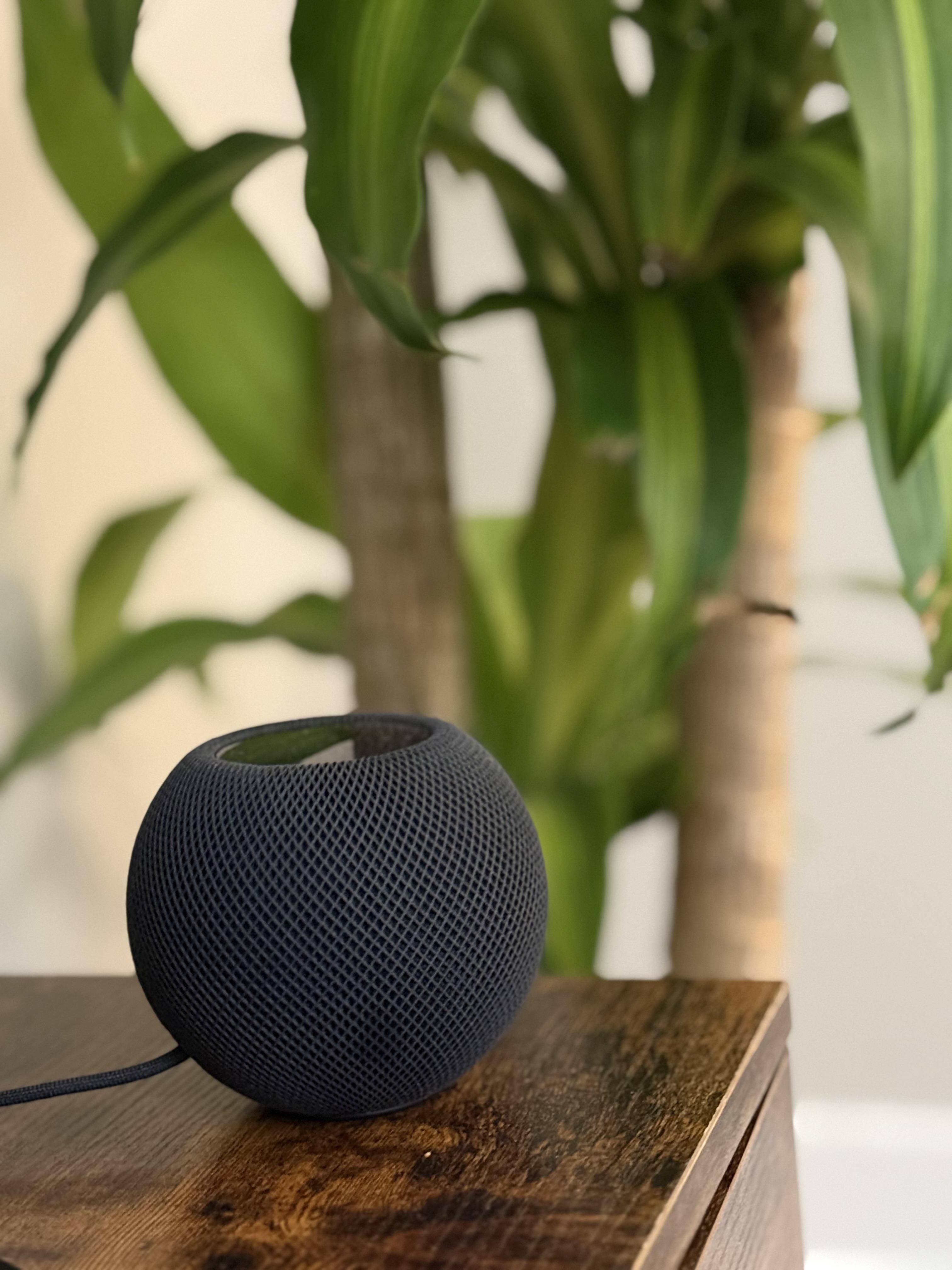 Apple HomePod mini Midnight Midnight MTJT3LL/A - Best Buy Apple HomePod mini Midnight Midnight MTJT3LL/A - Best Buy
