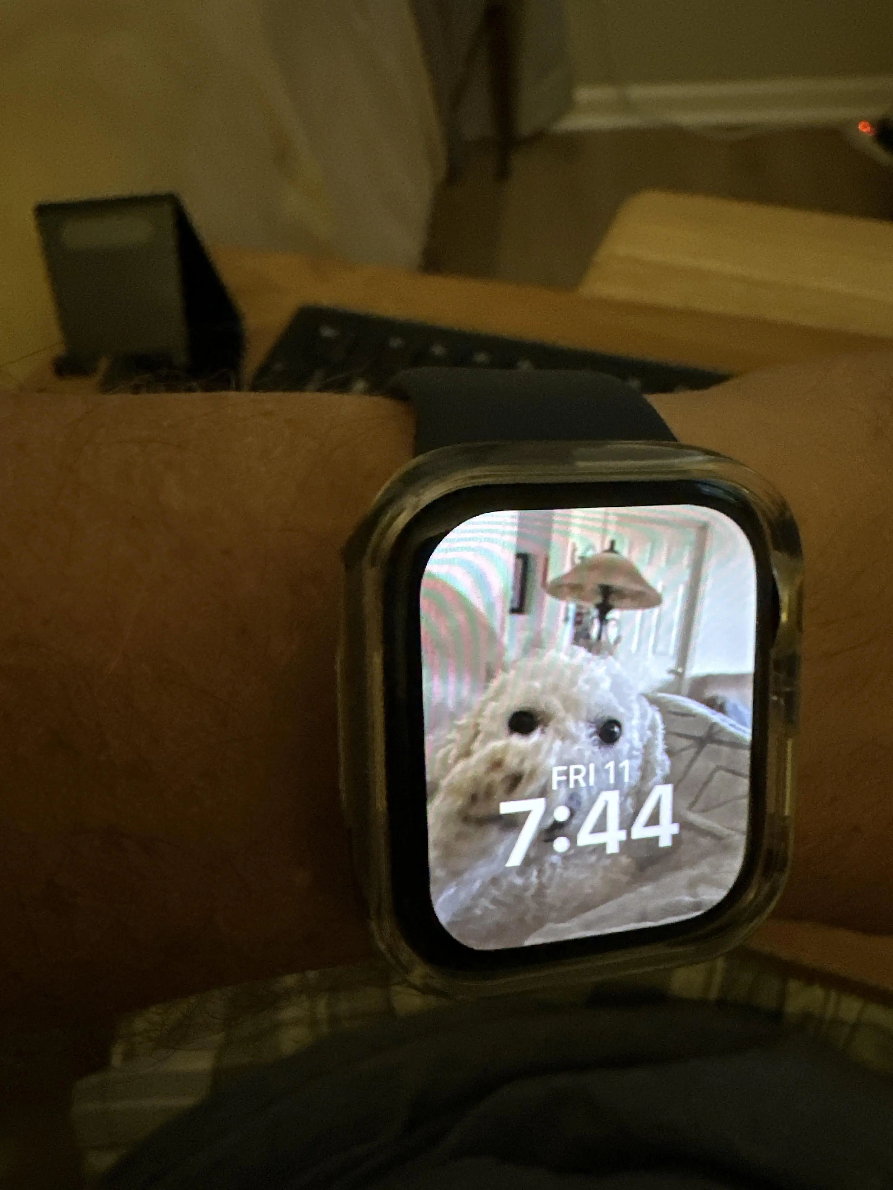 Customer provided image, click to load a larger version