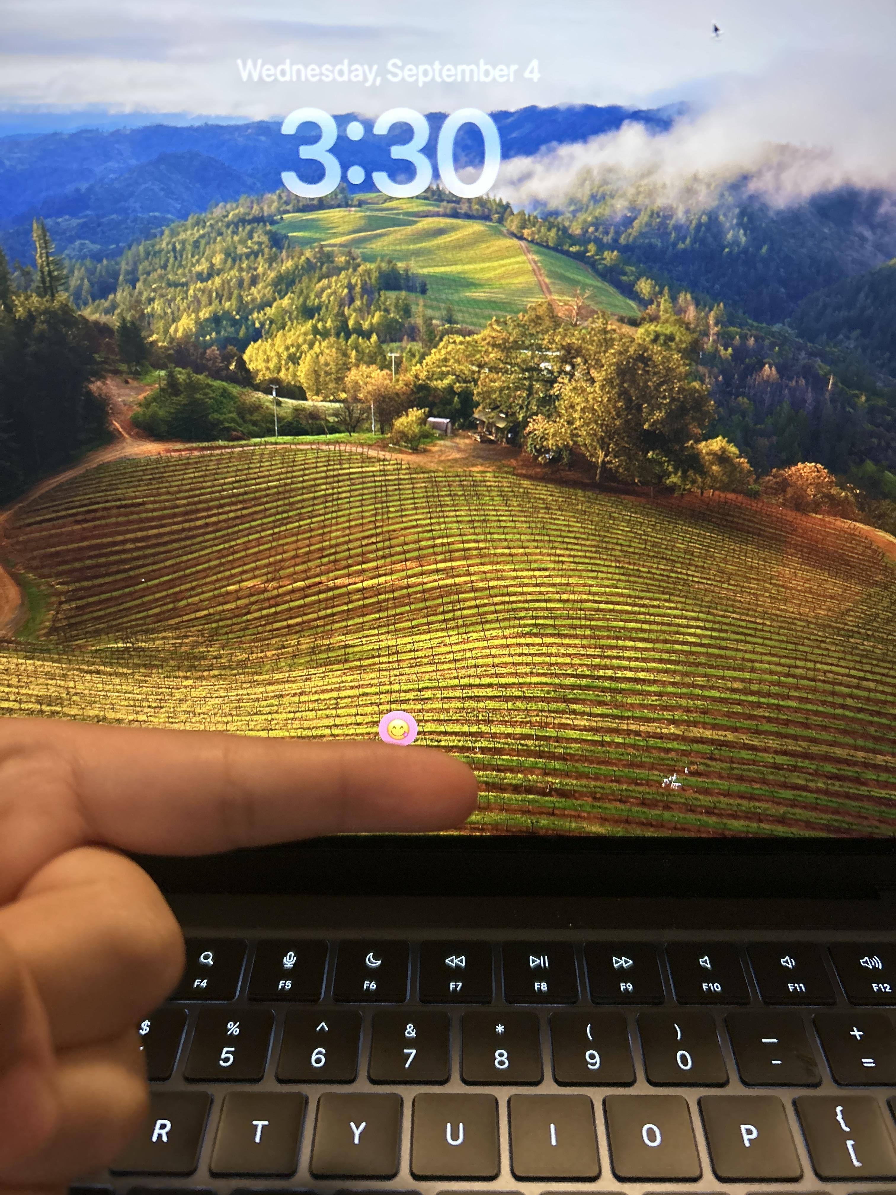 Customer provided, click to load a larger version