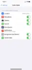 The Local Network Option the app says to make sure to check doesn't exist., click to load a larger version
