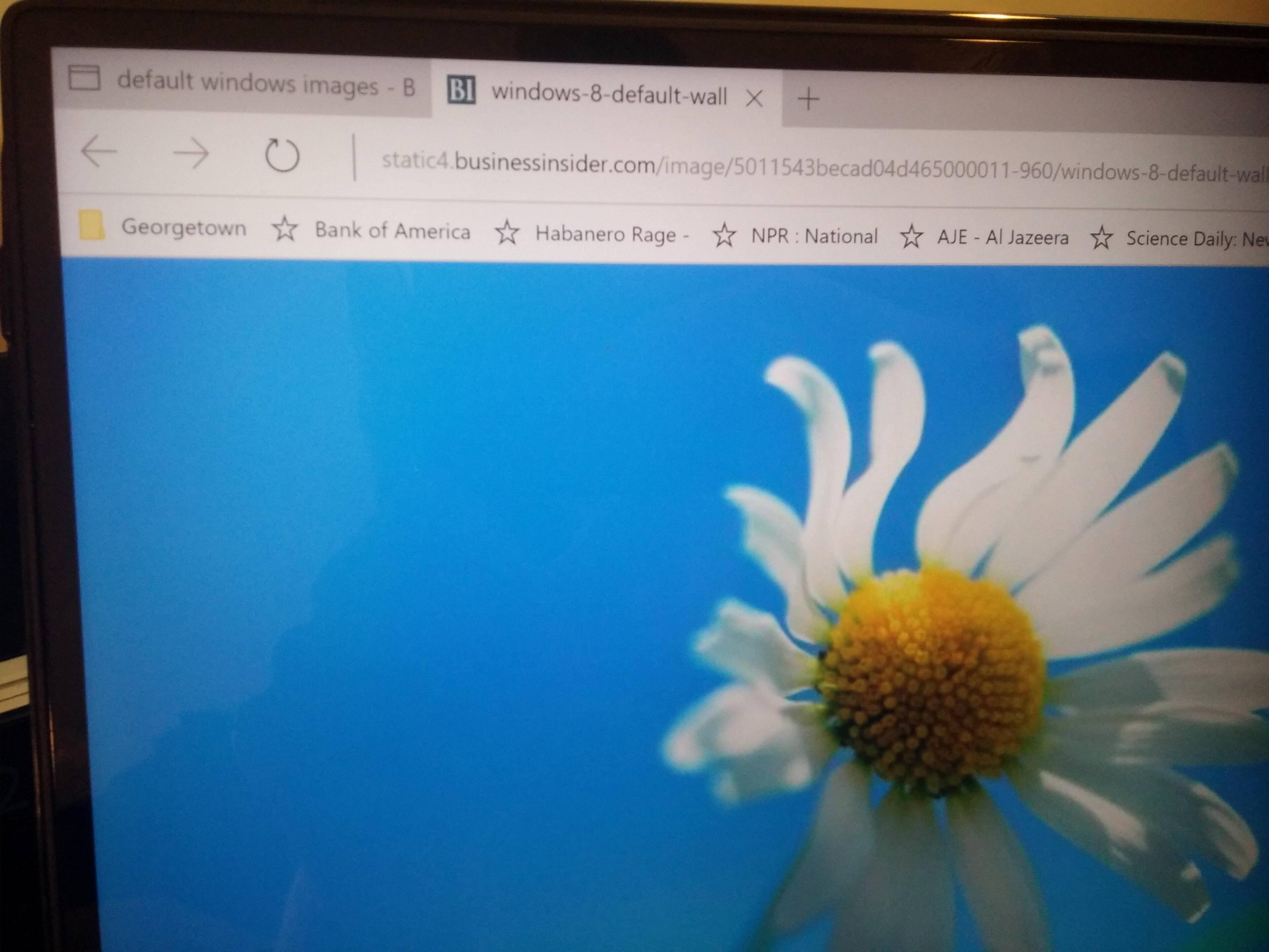 Superb detail on even high-res images, click to load a larger version