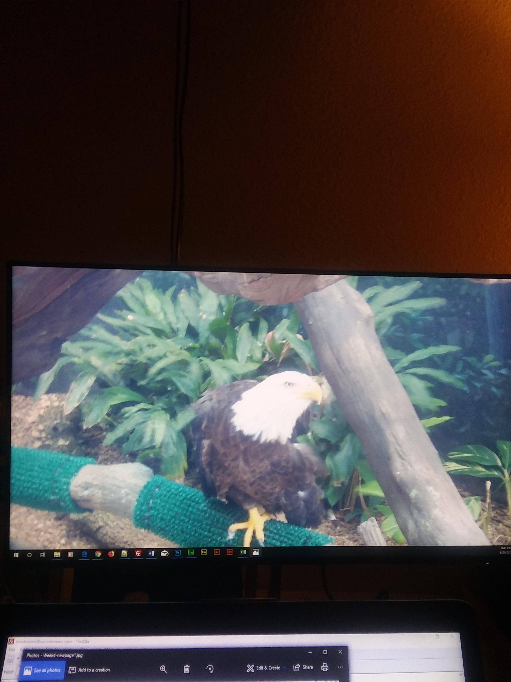 Desktop image, click to load a larger version