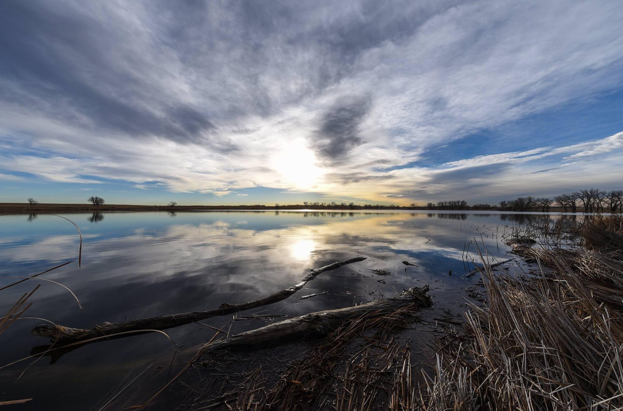 Taken at f/5.6, click to load a larger version