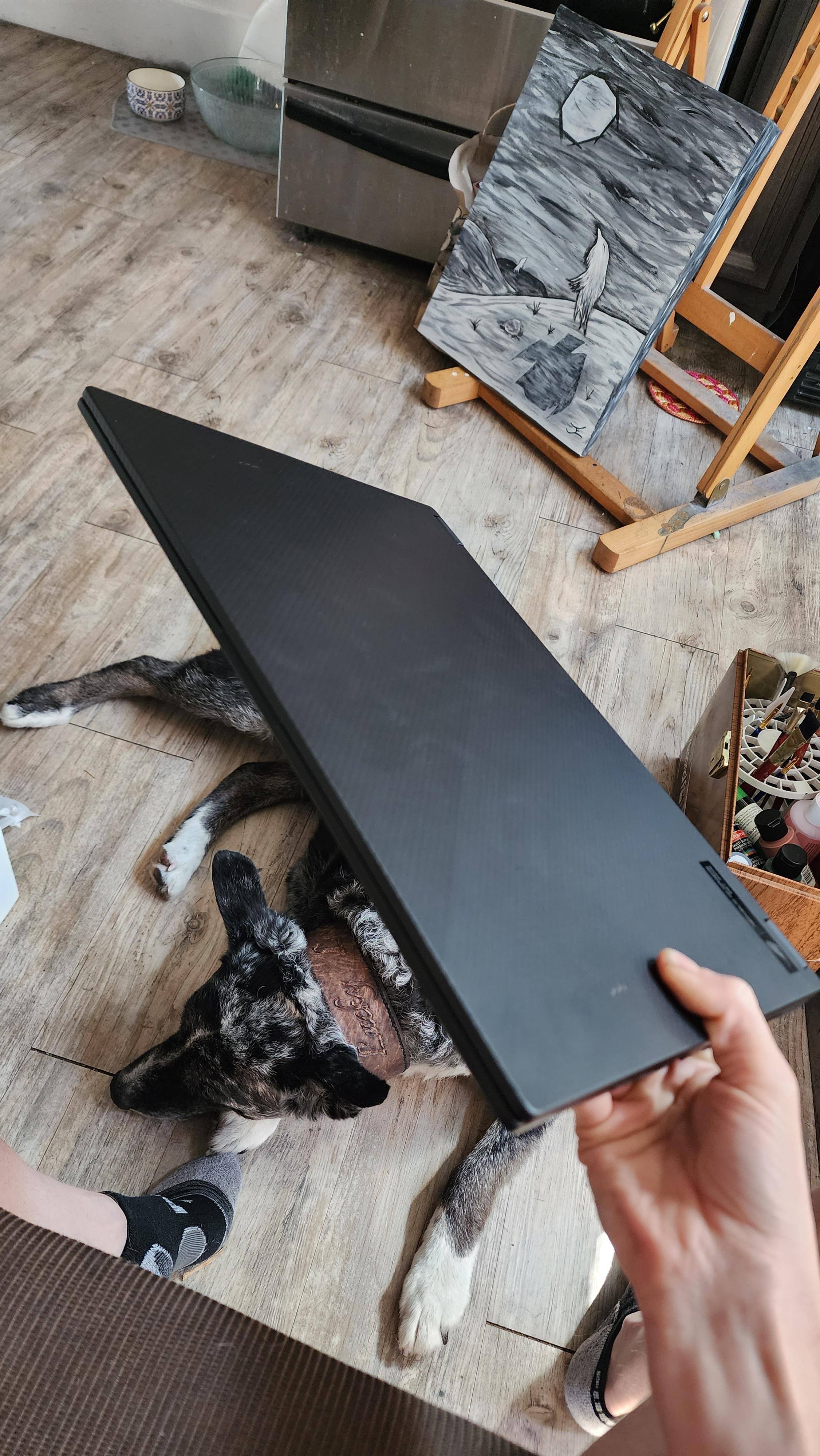 Customer provided, click to load a larger version