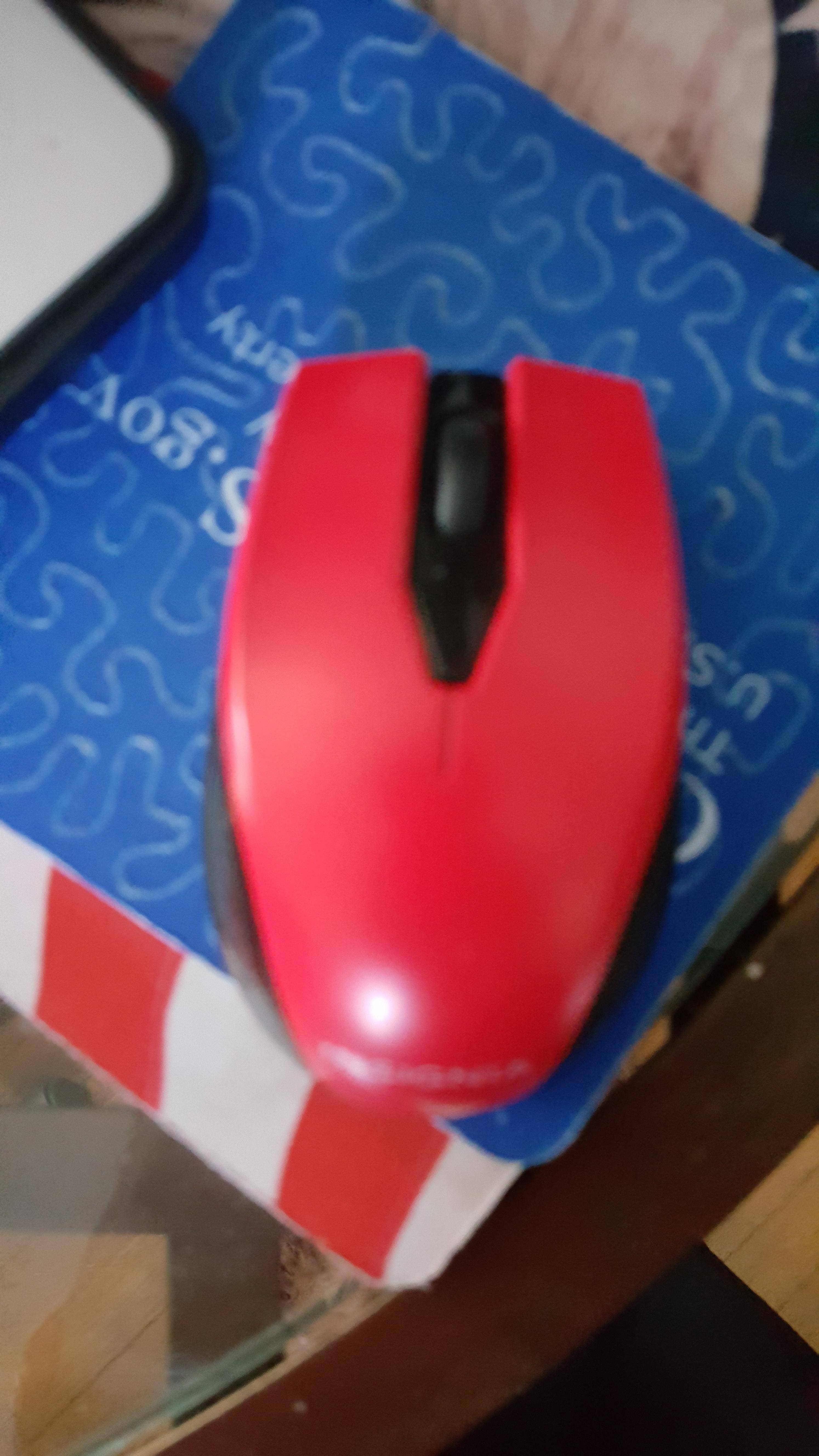 Insignia Optical Mouse, click to load a larger version