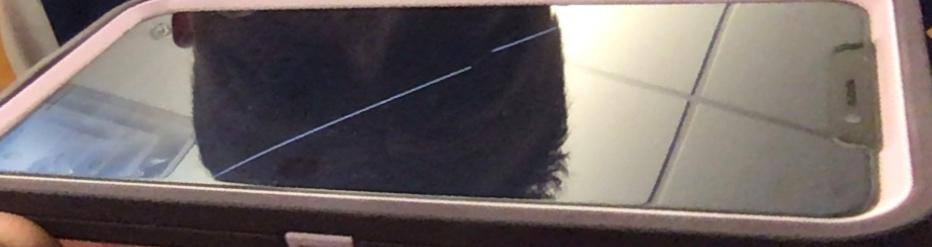 Cracked side to side after hitting the ground, click to load a larger version