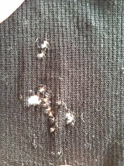 $60 top ruined!, click to load a larger version