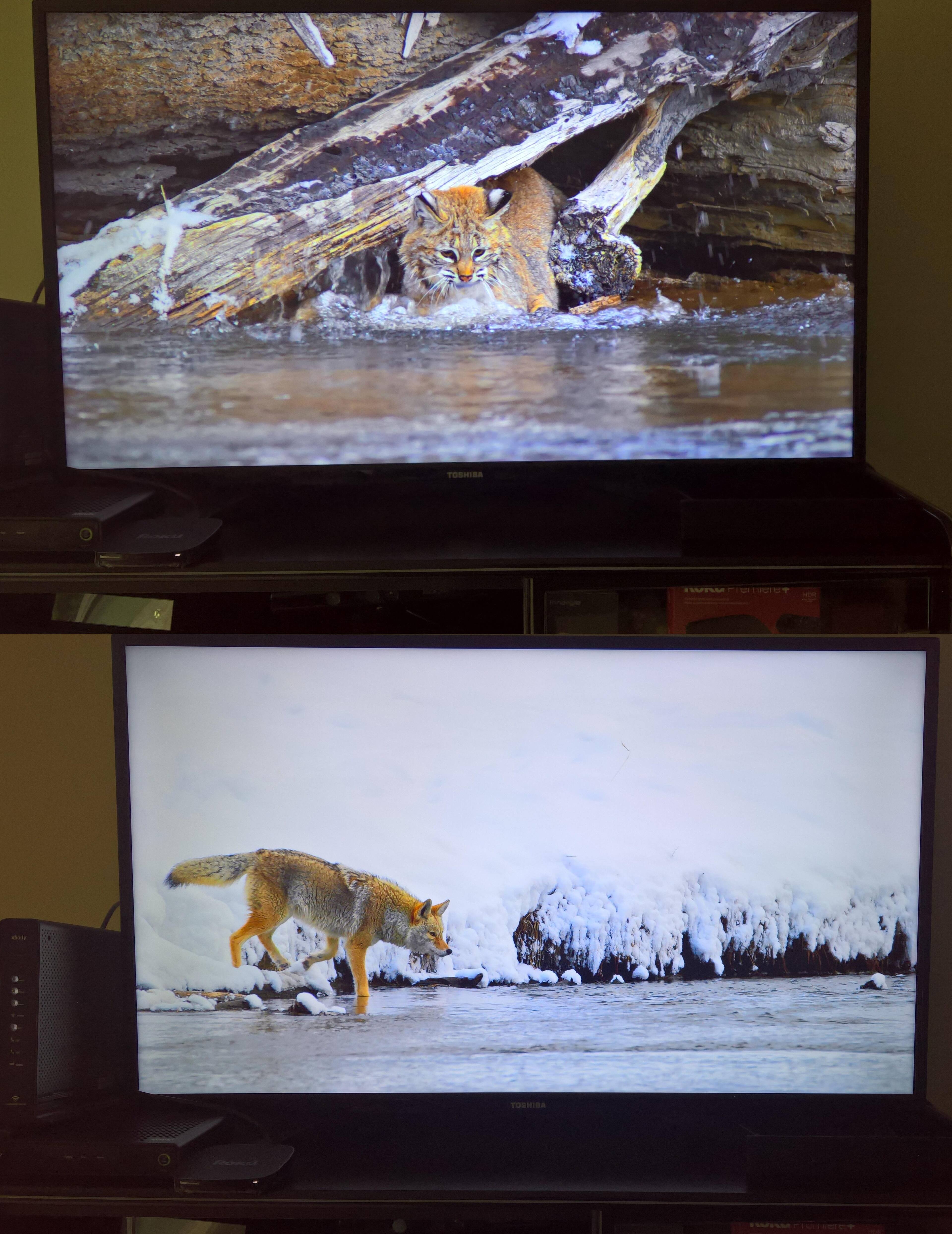 4K video, click to load a larger version