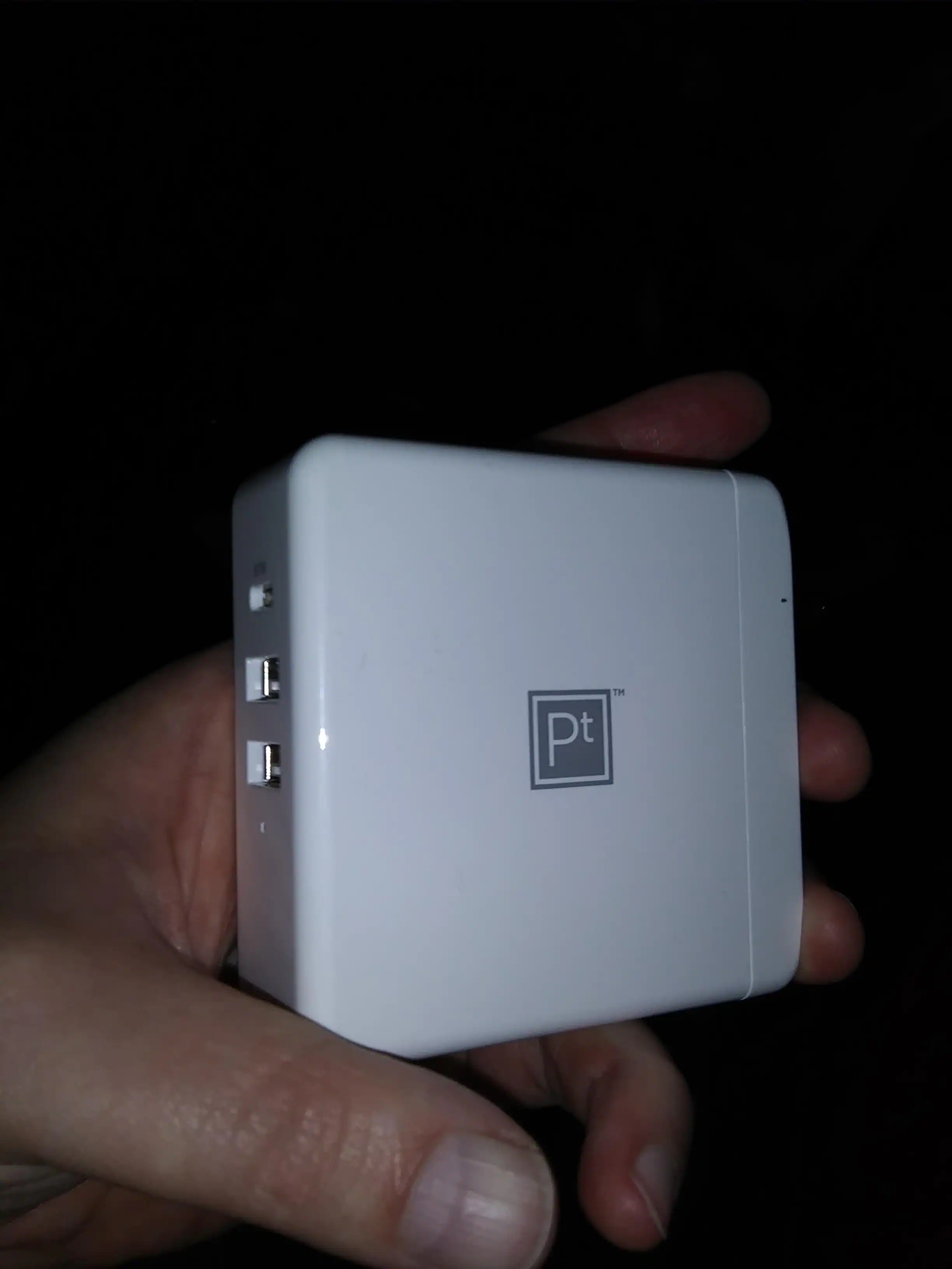 Platinum Charger in Hand, click to load a larger version