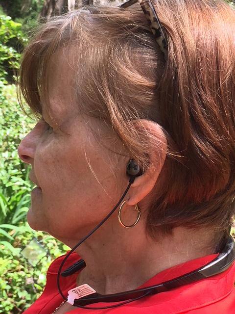 Easy To Use Controls, click to load a larger version