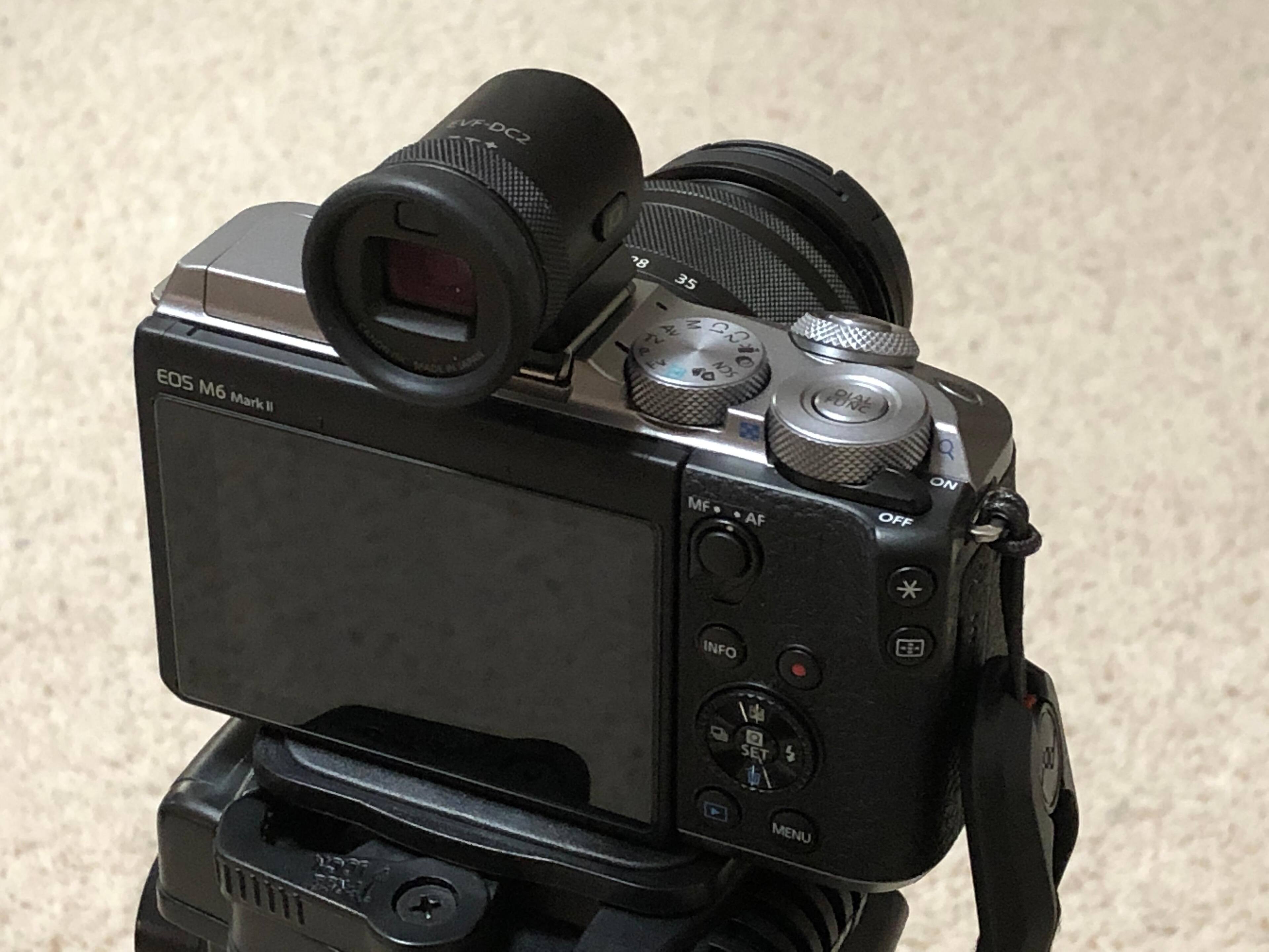 With Electronic View Finder, click to load a larger version