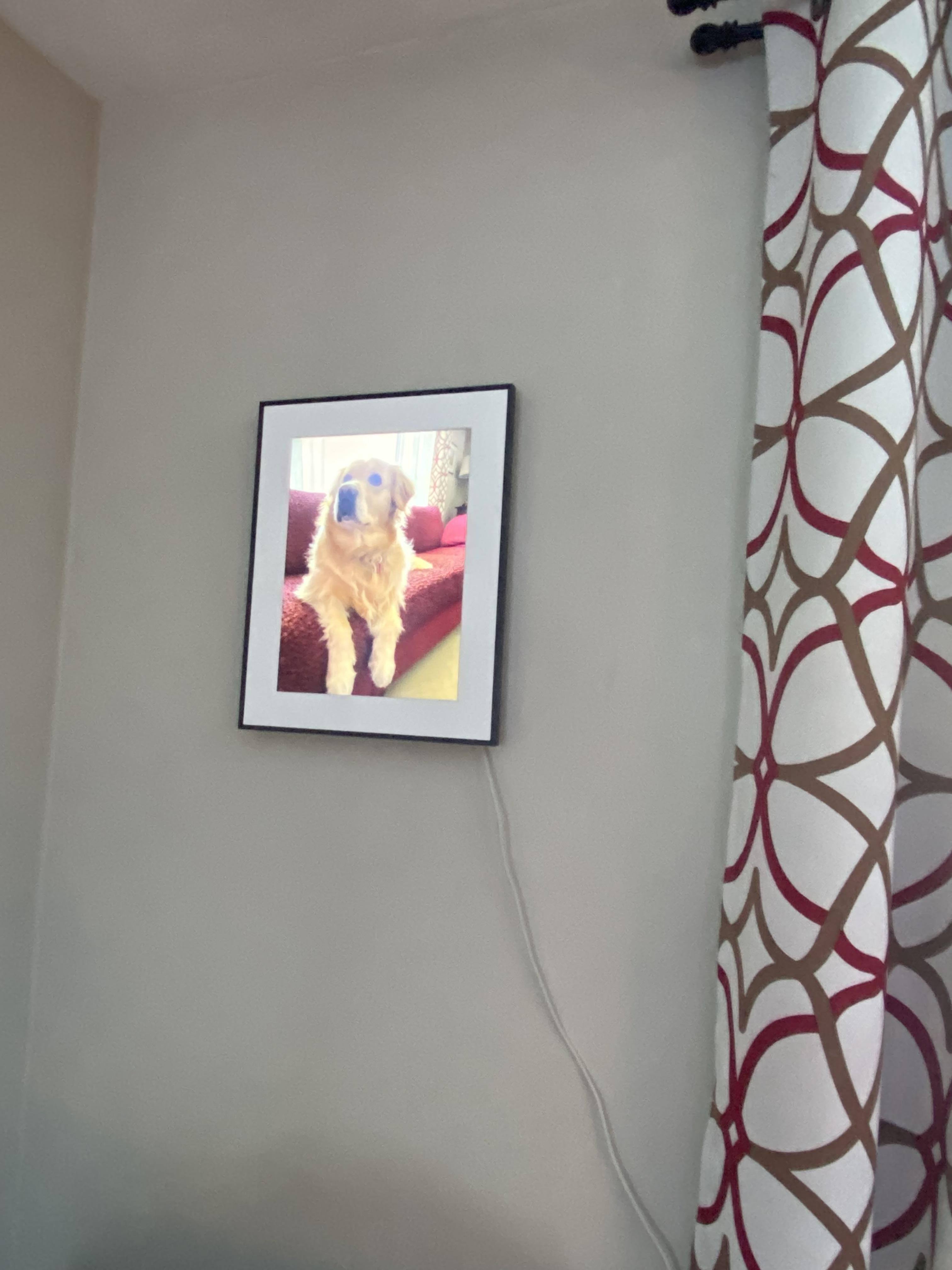 Customer provided image, click to load a larger version