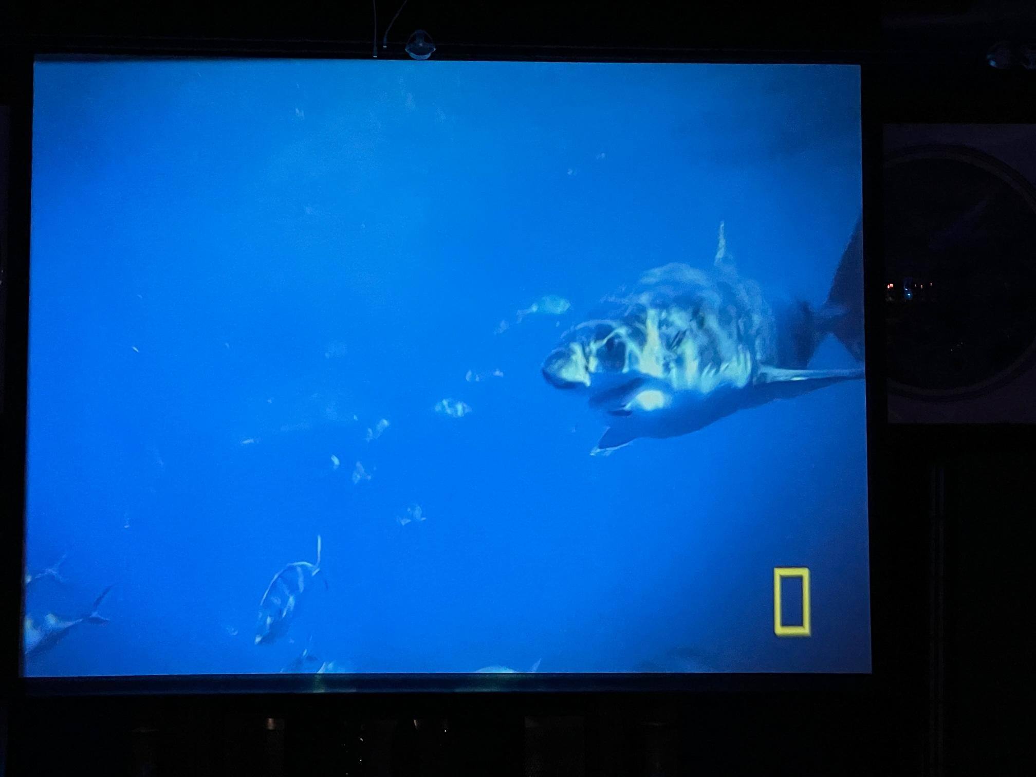 Photo of screen image 2, click to load a larger version