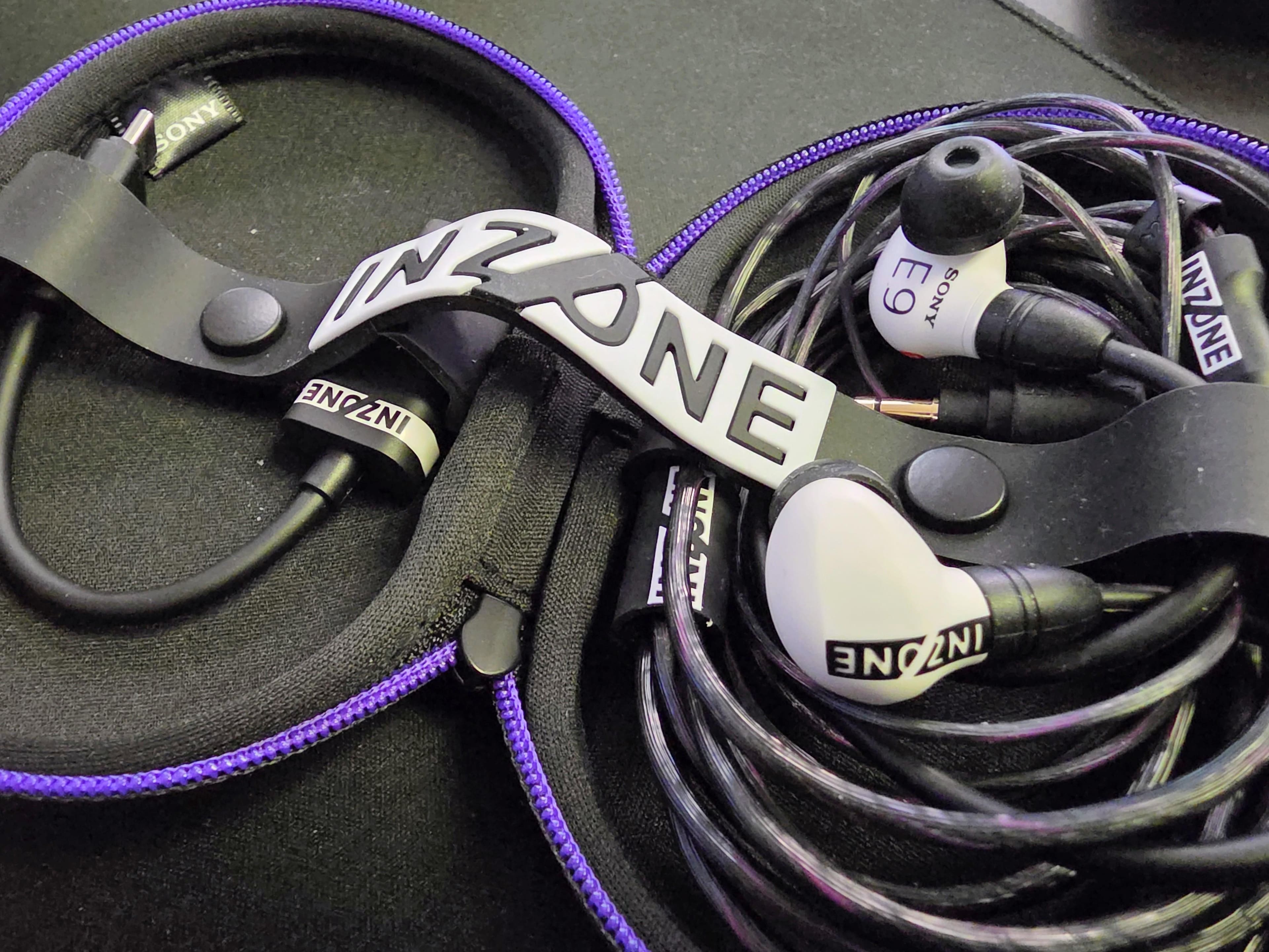 Sony INZONE E9 Wired In Ear Monitor for Gaming White IERG900/W