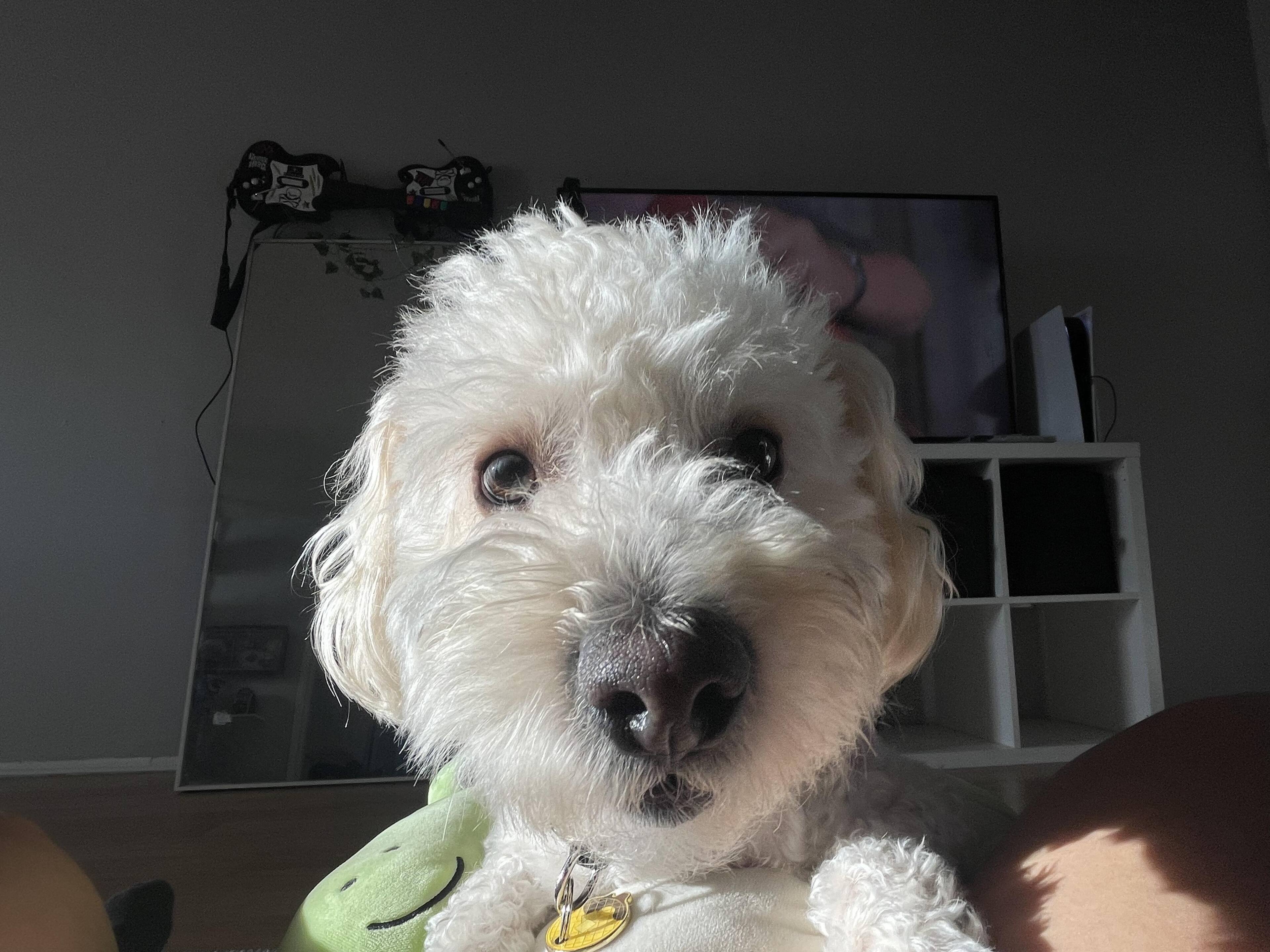 Customer provided, click to load a larger version