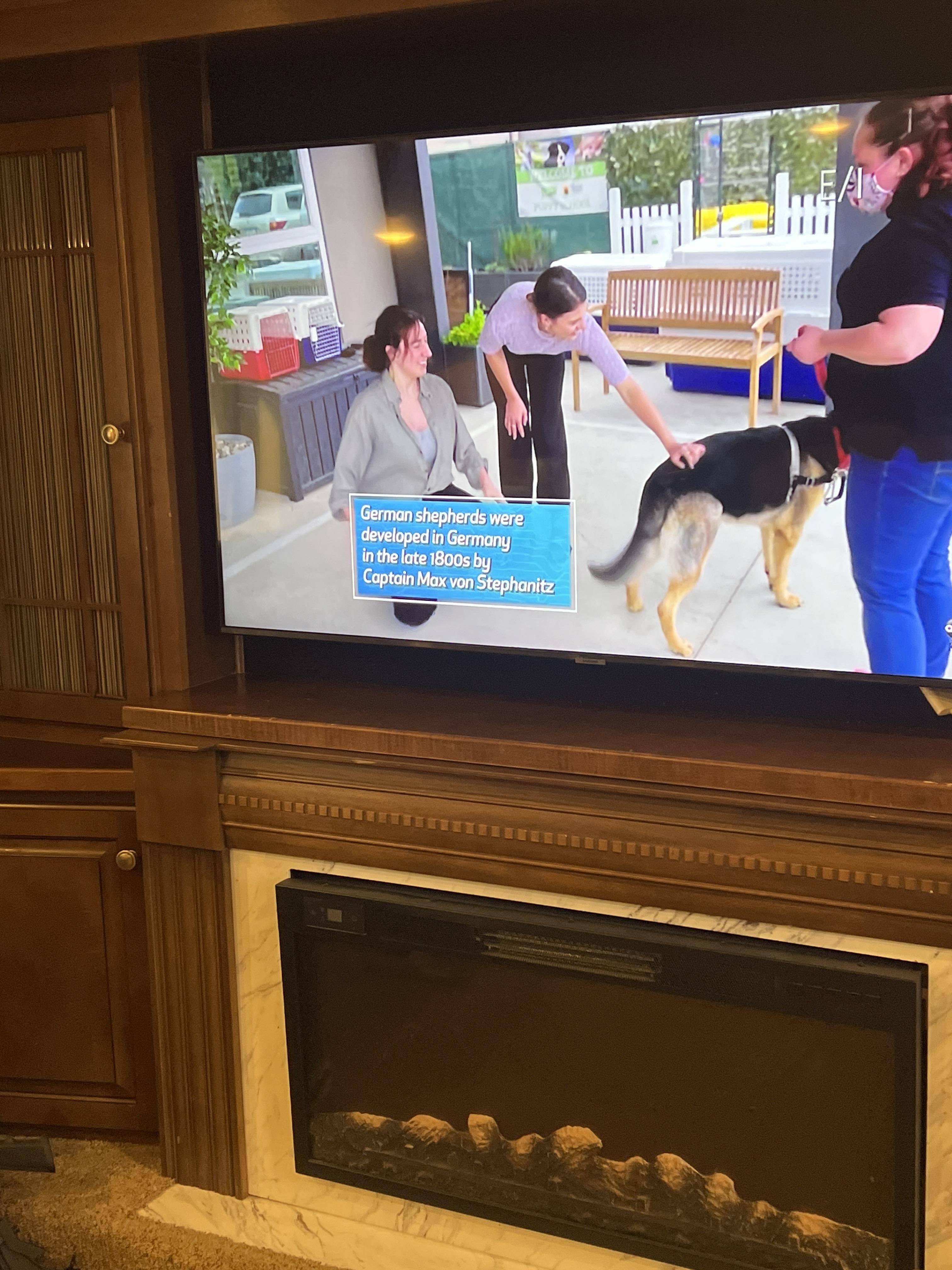 Customer provided image, click to load a larger version