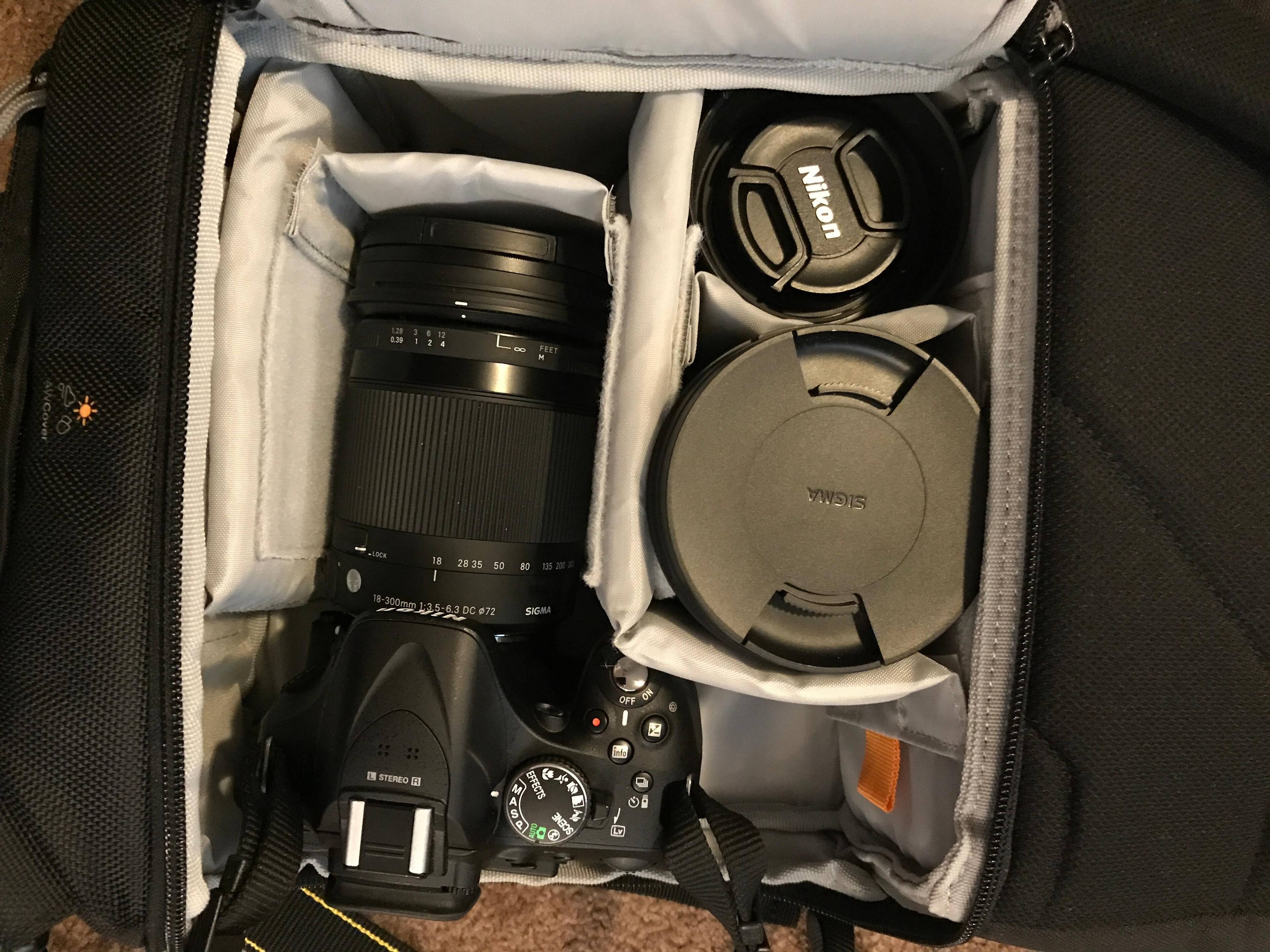 Main camera compartment, click to load a larger version