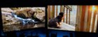 Left monitor is new one. right is 4k, click to load a larger version