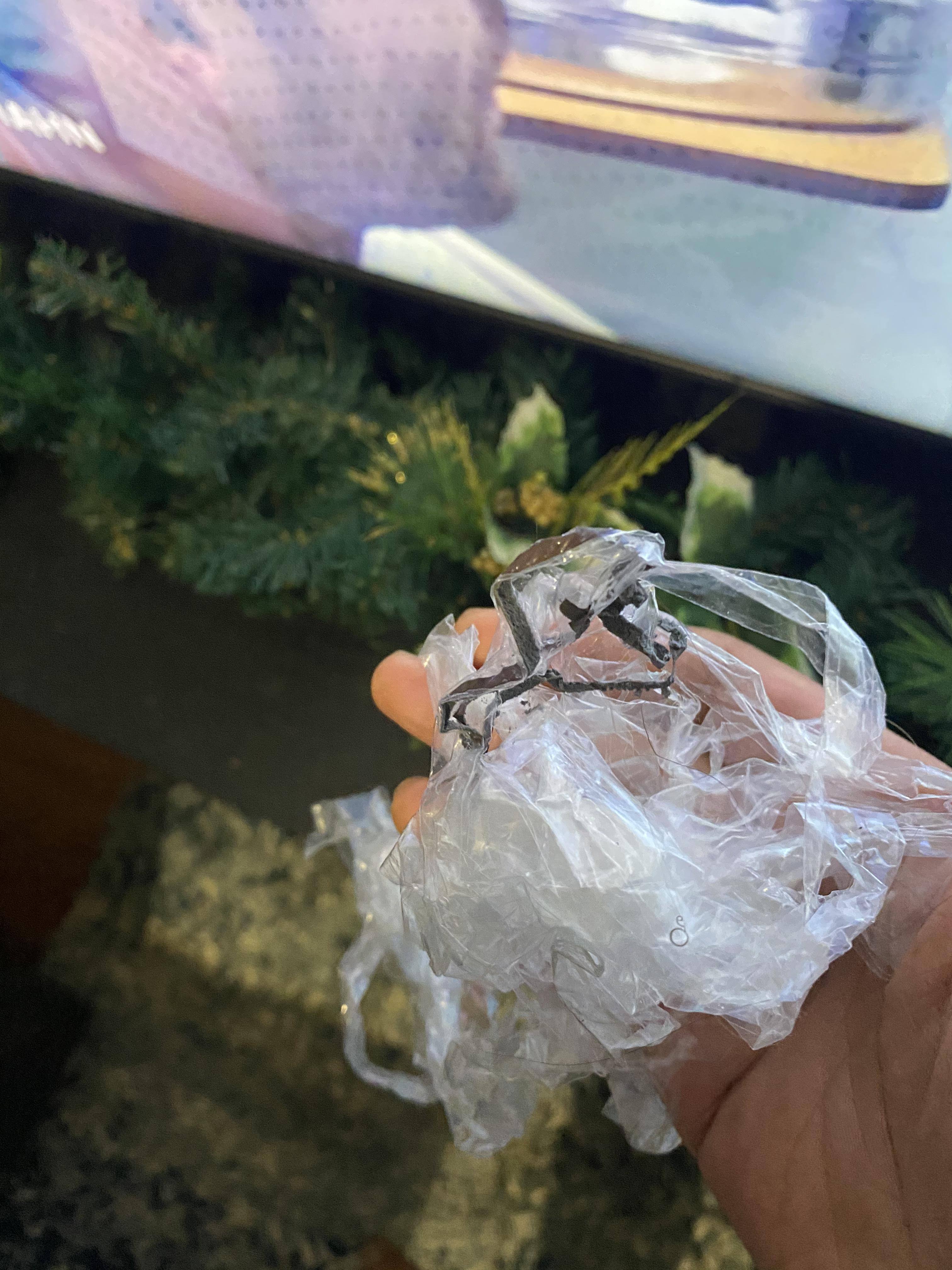 Customer provided image, click to load a larger version