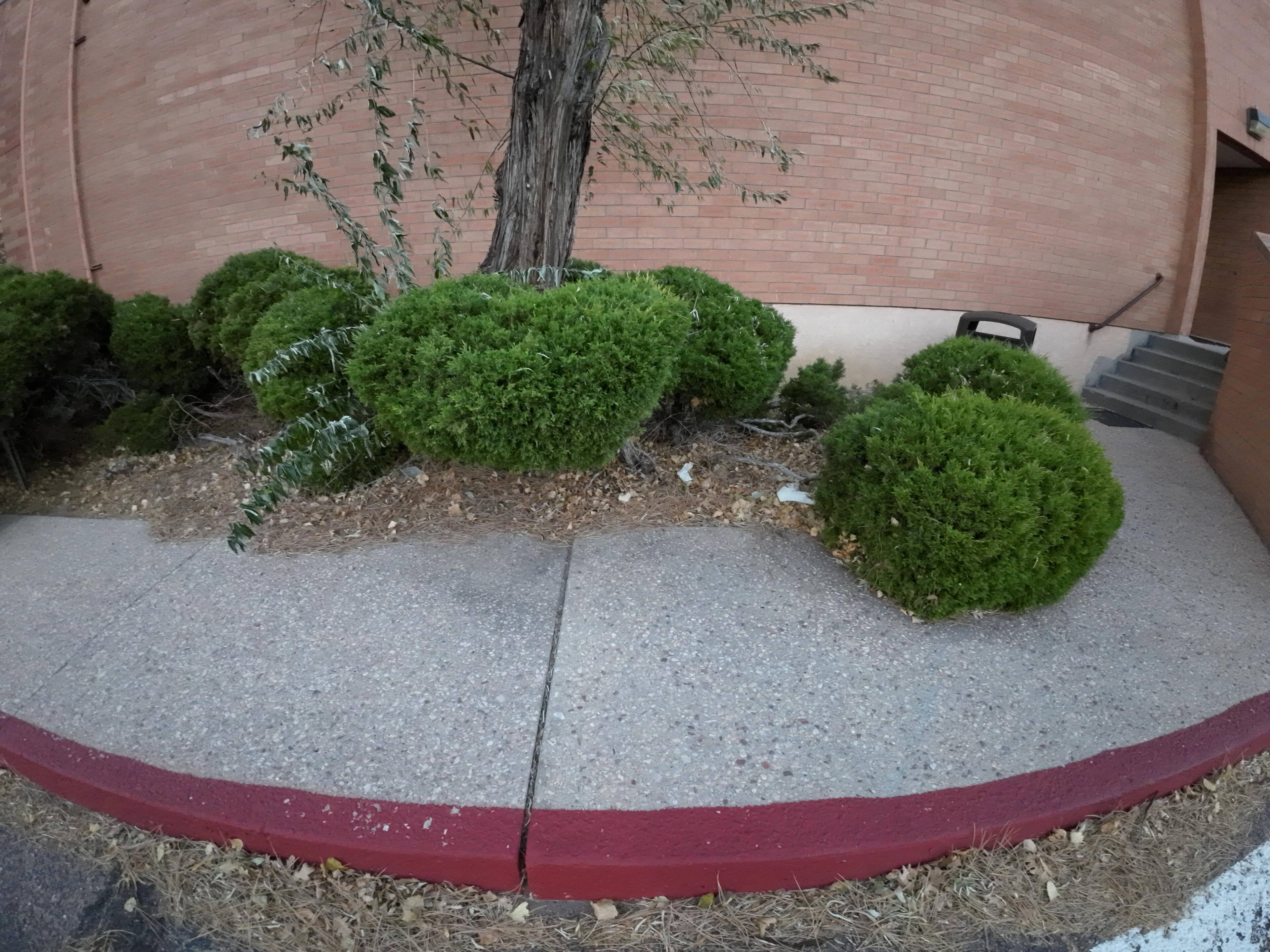 Barrel distortion: the curb is actually straight., click to load a larger version