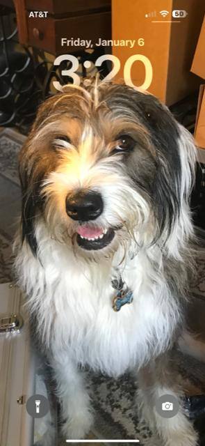 Customer provided image, click to load a larger version