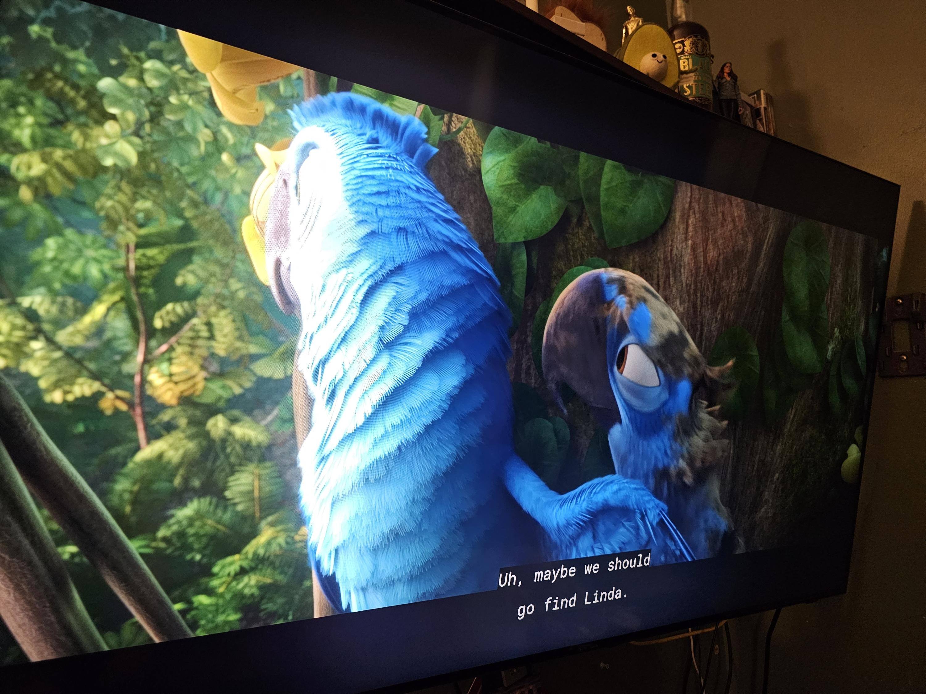 Customer provided image, click to load a larger version