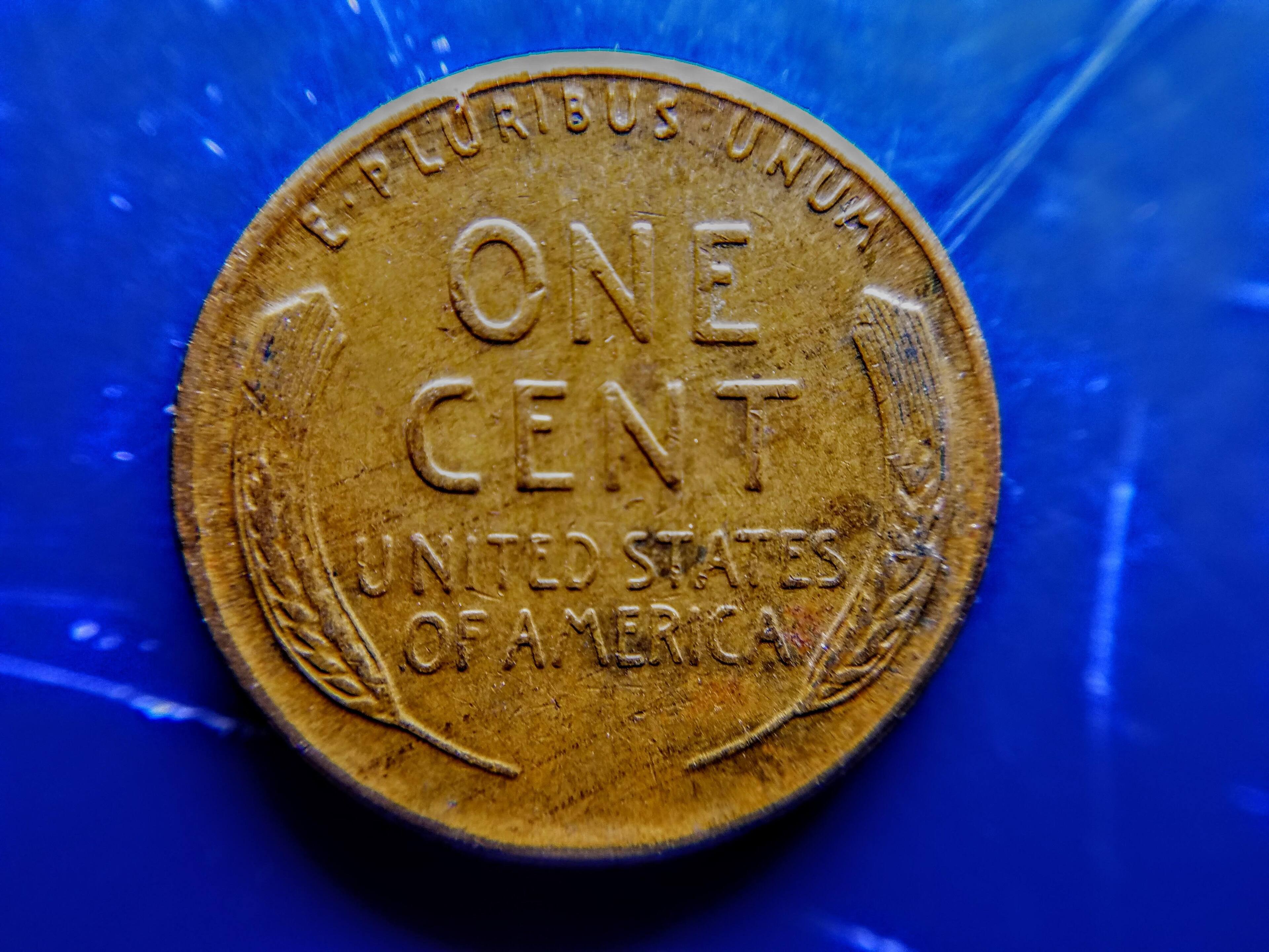 using macro lens, click to load a larger version