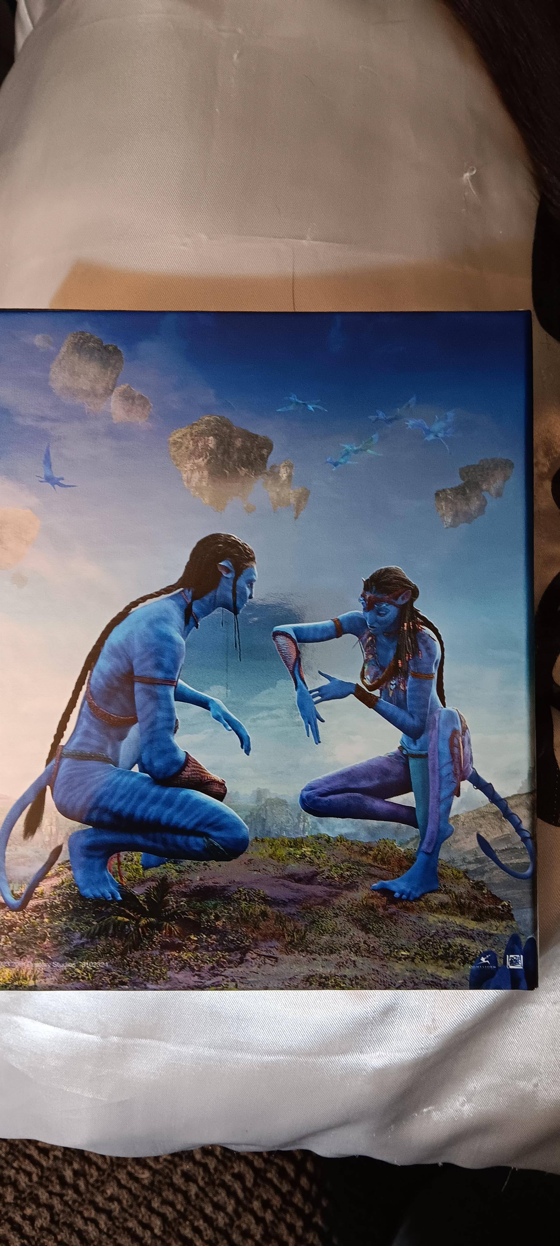 Customer provided, click to load a larger version