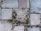 Pavers before pressure-washing, click to load a larger version