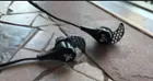 JayBird BlueBuds X, click to load a larger version