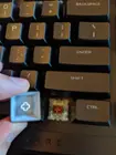 The keycaps are sturdy, if not exceptionally fancy. They should be very easy to replace with custom caps if you're into that as well., click to load a larger version