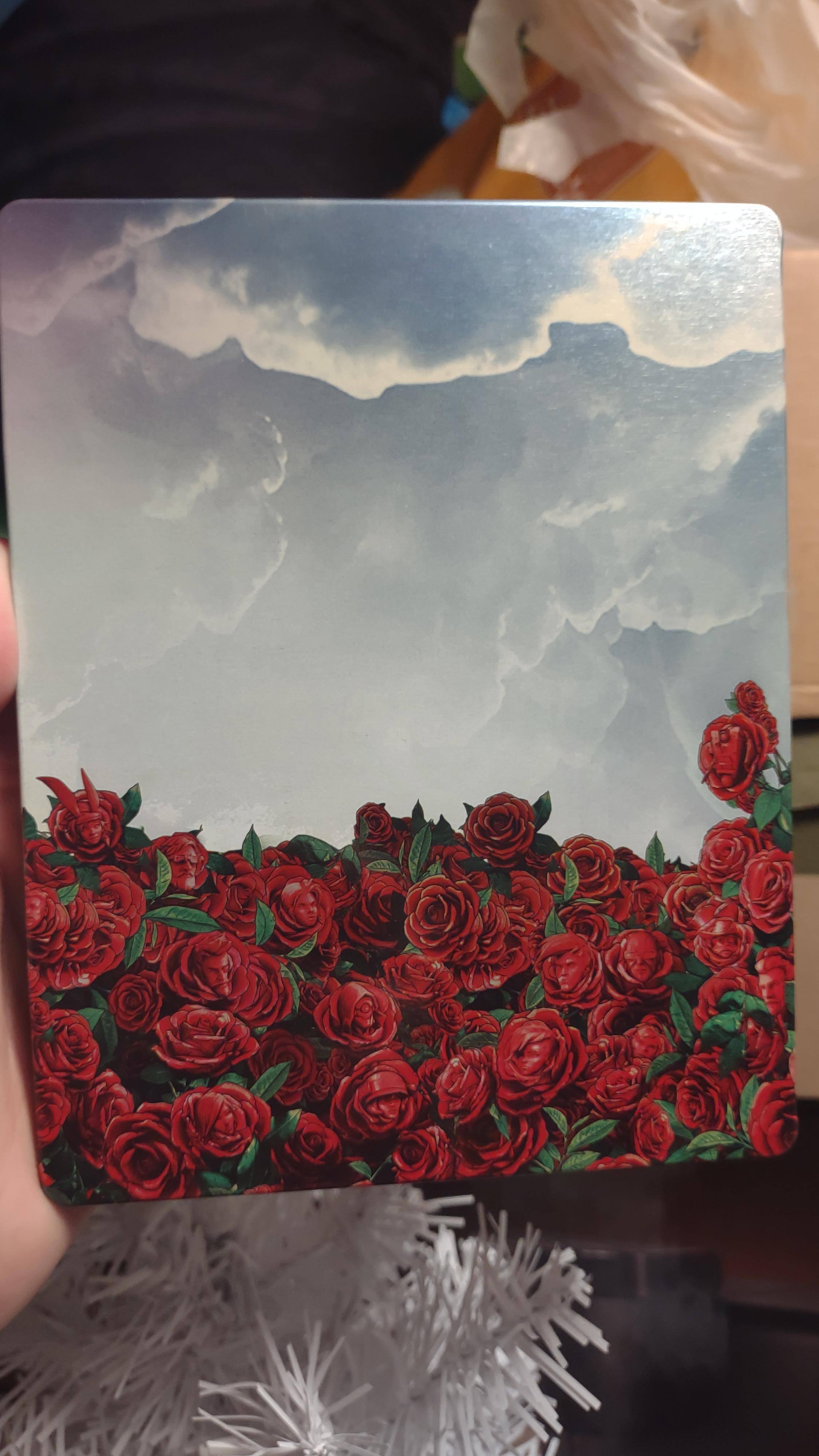 Customer provided, click to load a larger version