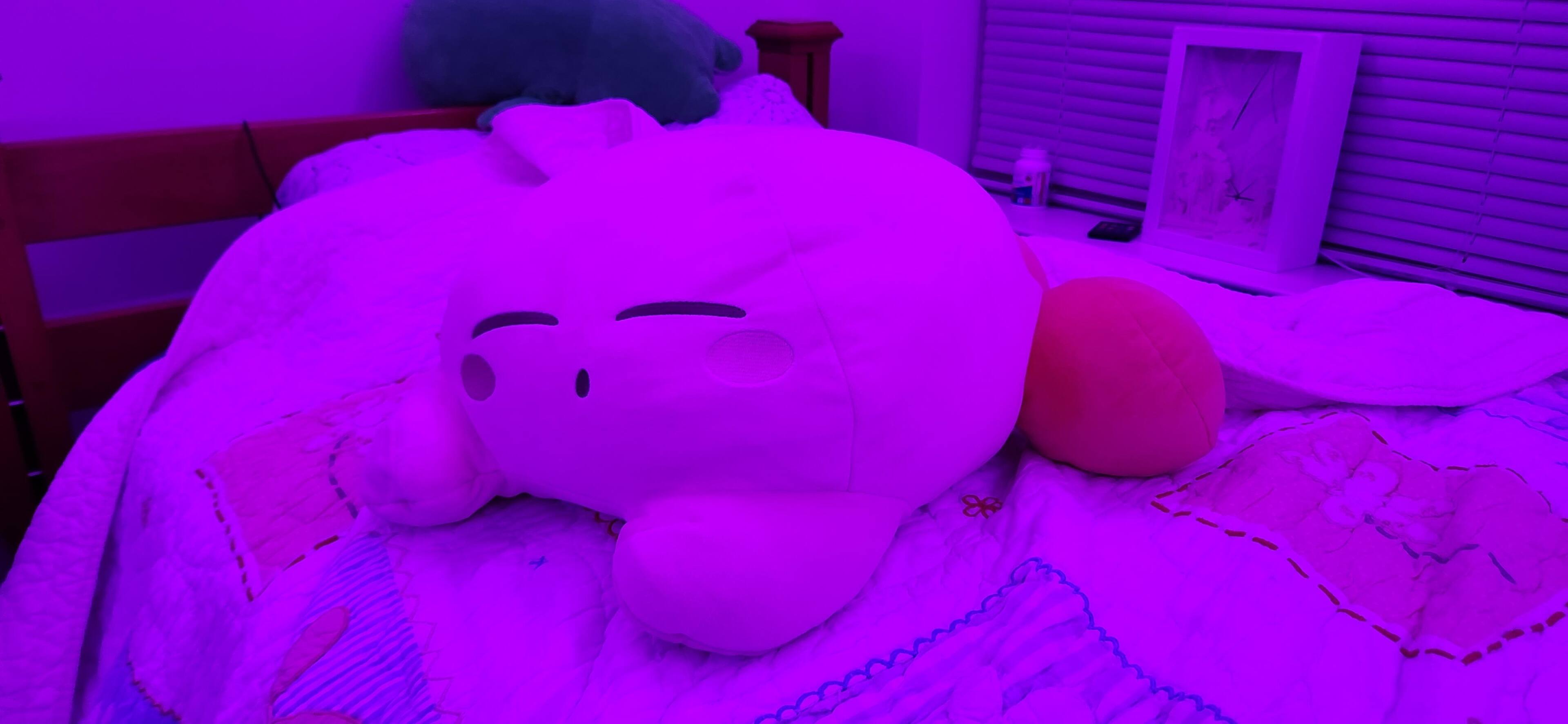 Customer provided image, click to load a larger version