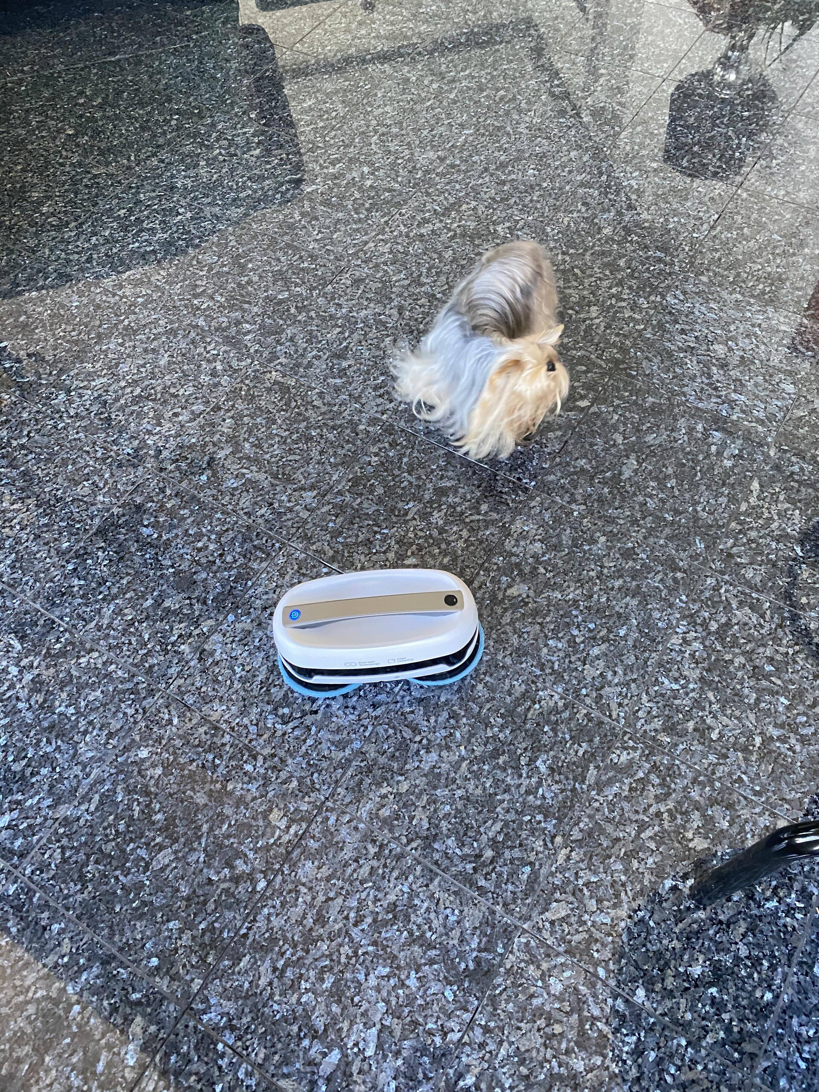 Dancing, click to load a larger version