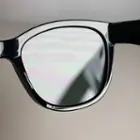 polarized lens, interior, click to load a larger version