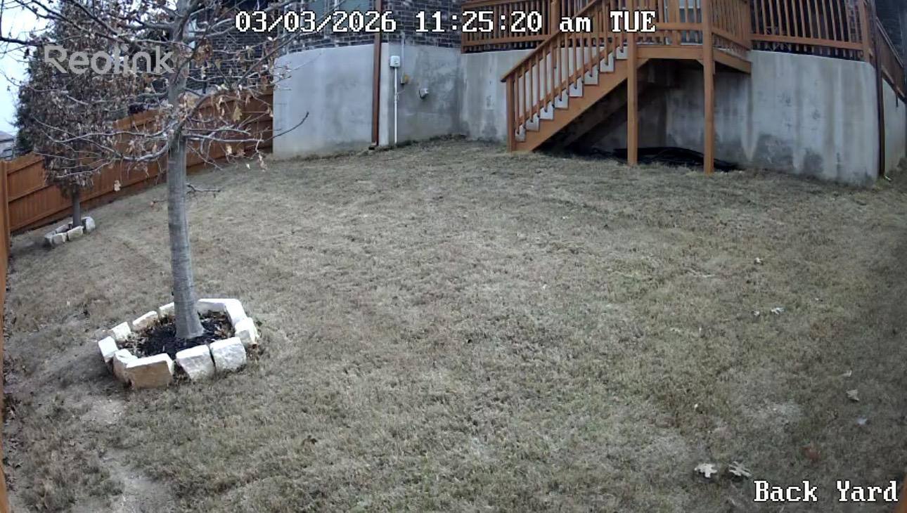 Backyard, click to load a larger version