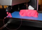 Attempt printing the Hippo, click to load a larger version
