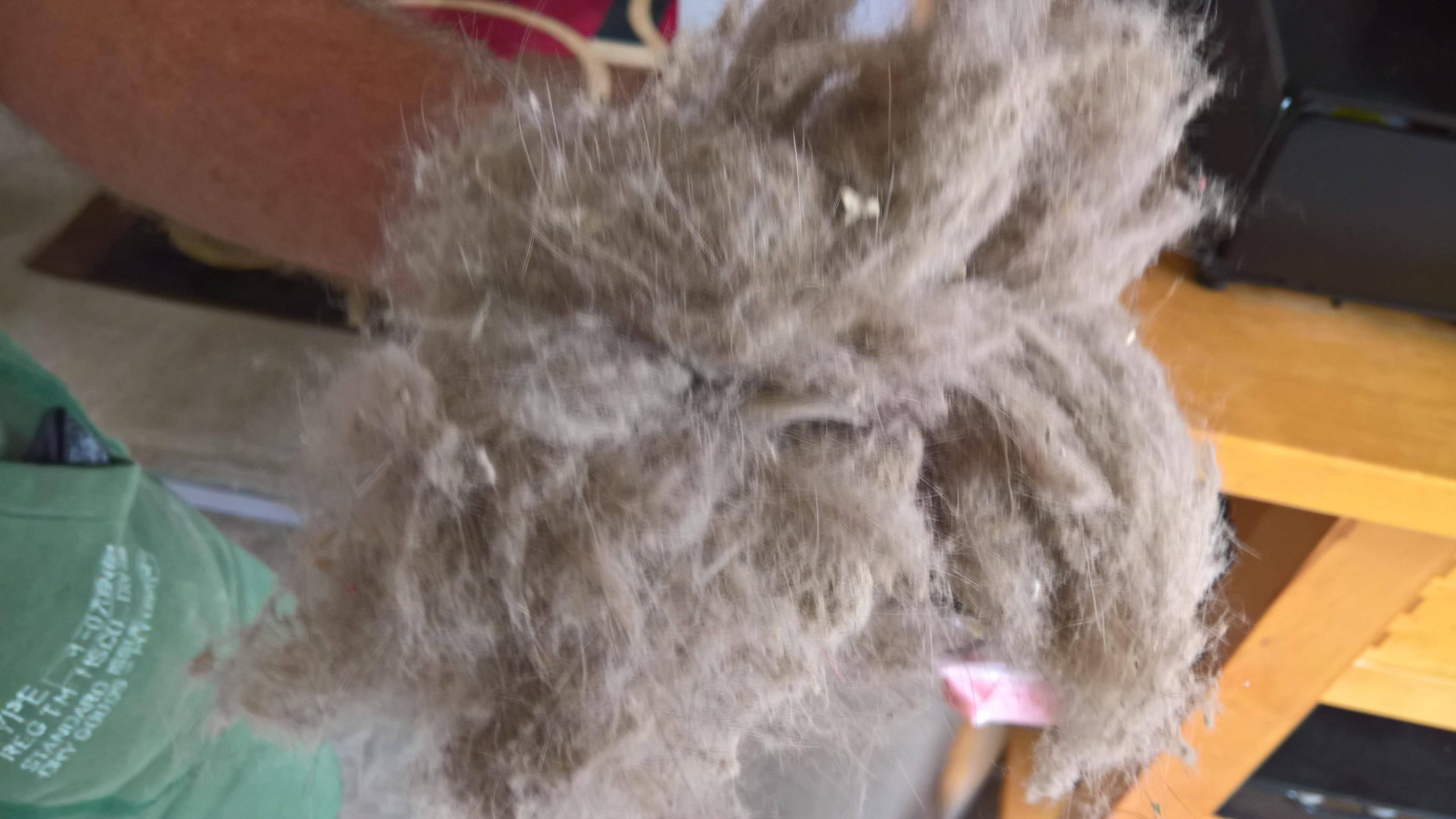 Amazing bristles and vacuum power., click to load a larger version