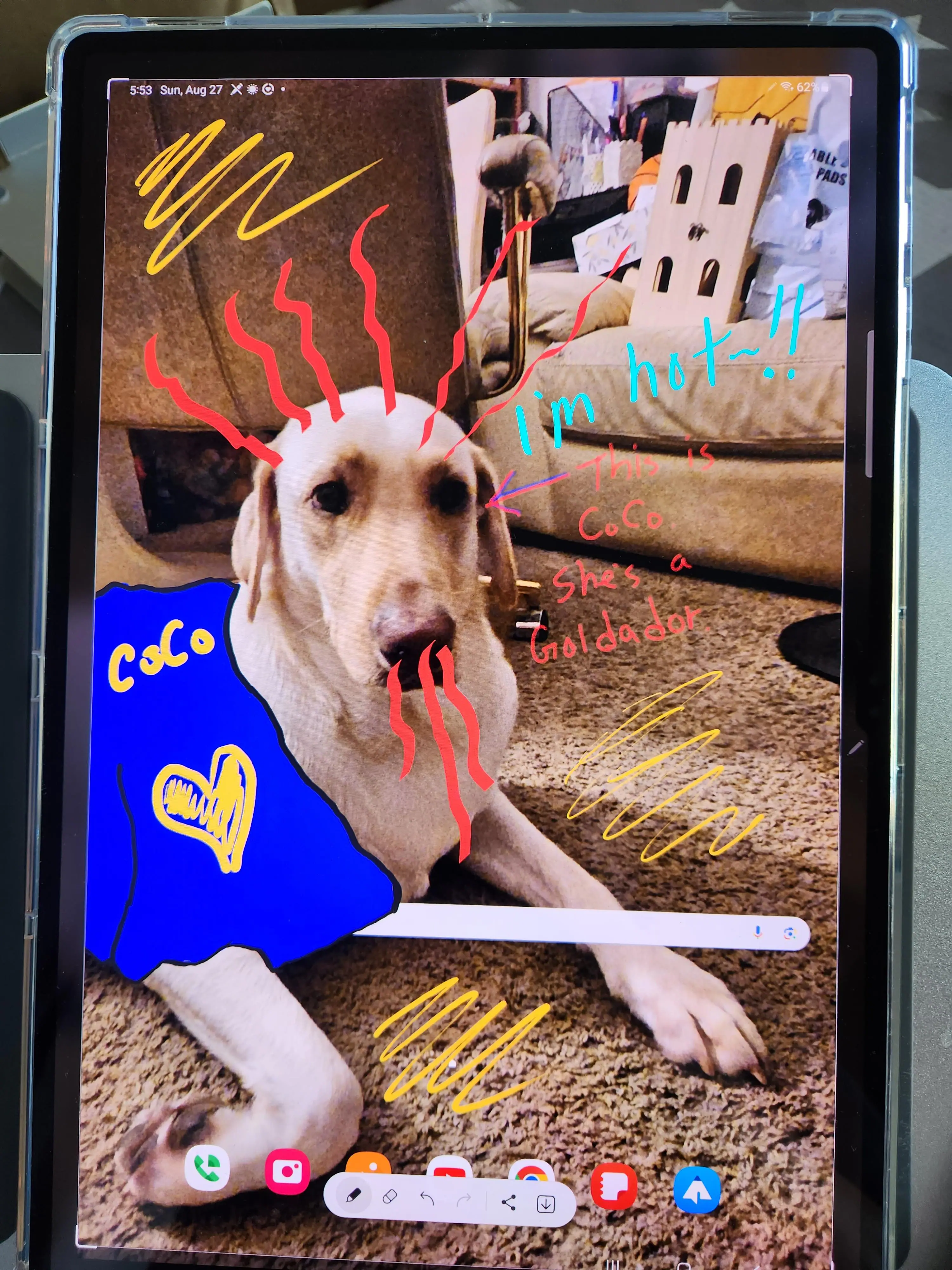 Customer provided, click to load a larger version