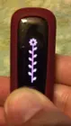 this is the most leaves I have seen on mine but I hear it goes up to 10!, click to load a larger version