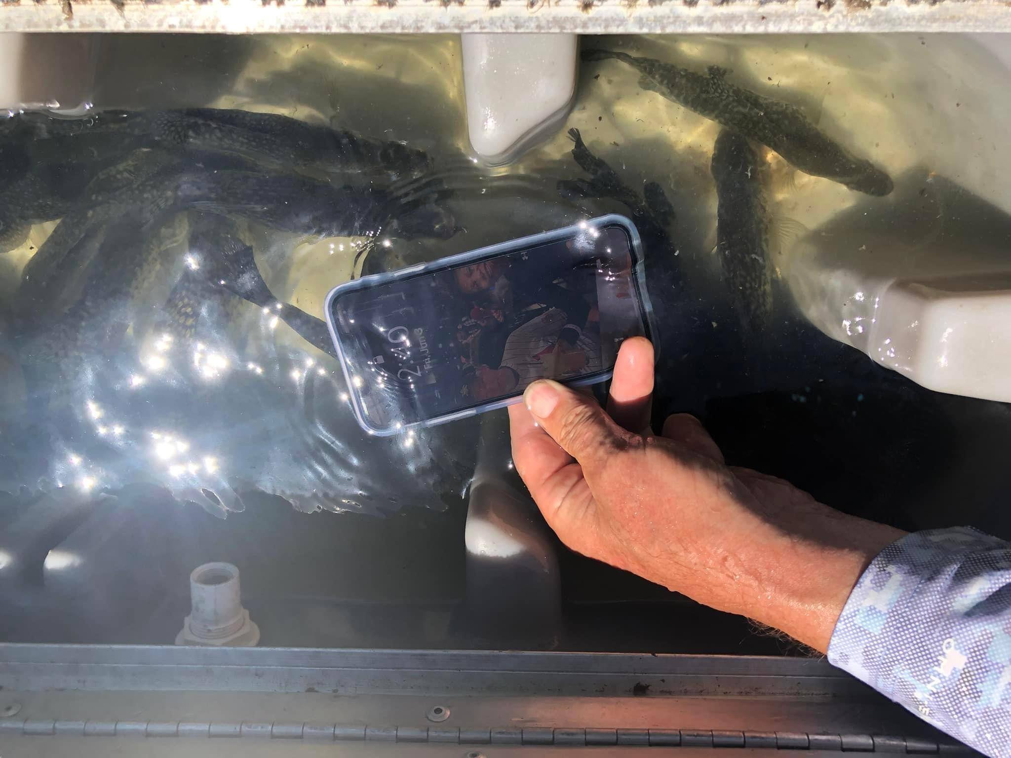 Customer provided image, click to load a larger version