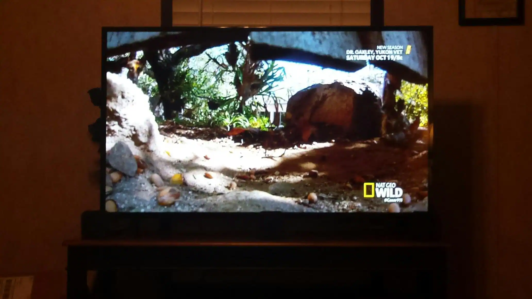 My new Vizio 4kUHD, click to load a larger version