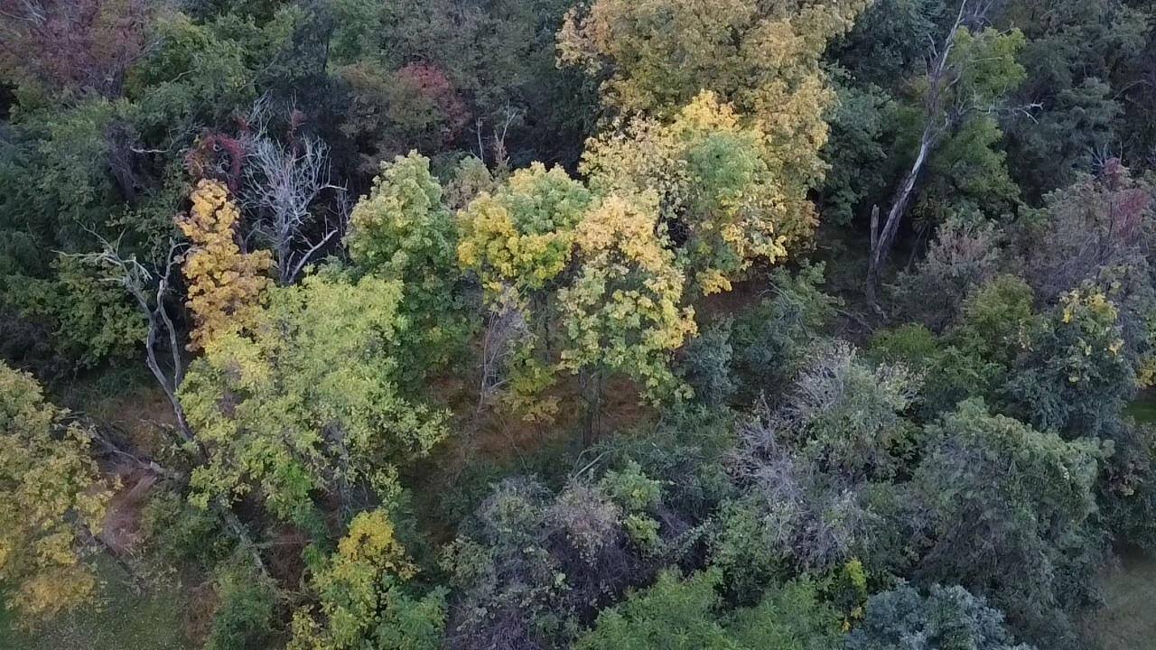 Sample image from Mini 2 SE, click to load a larger version