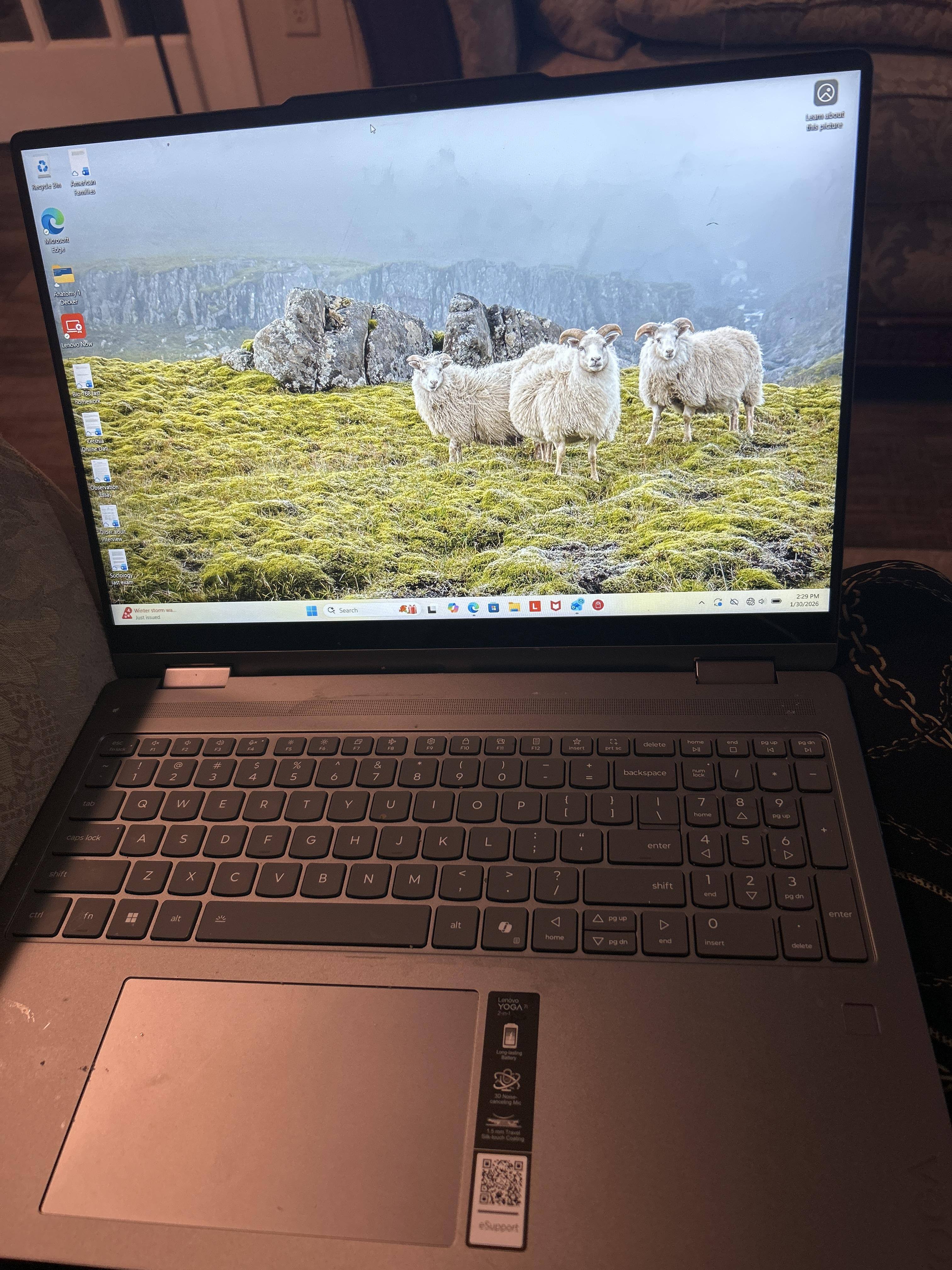 Customer provided image, click to load a larger version