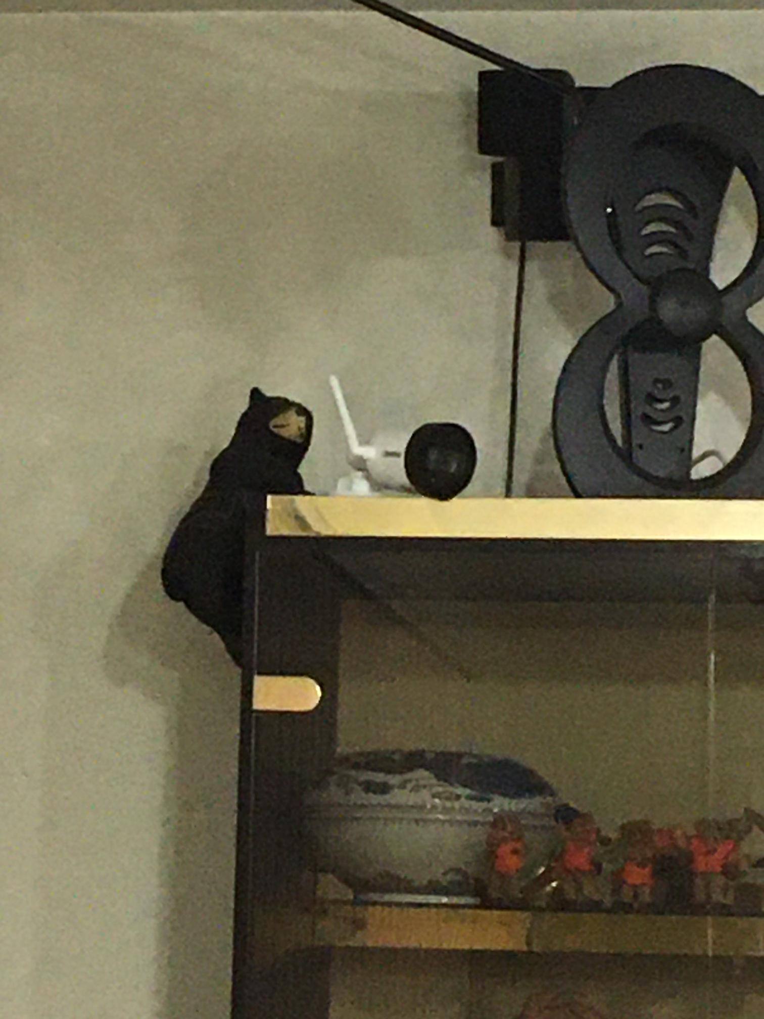 Defender Camera Location On Top Of Cabinets In Living Room, click to load a larger version