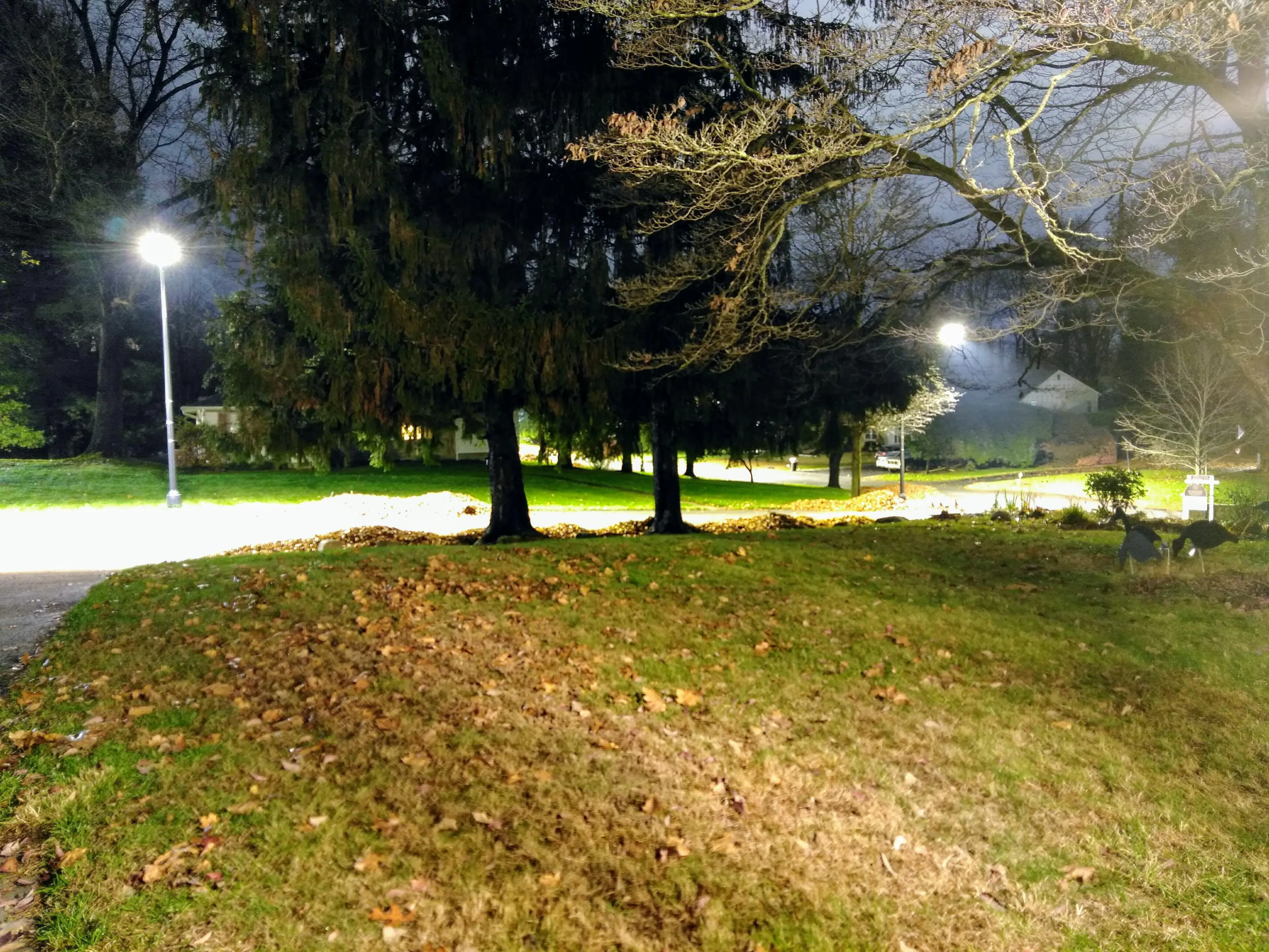 Over 30 second exposure, click to load a larger version