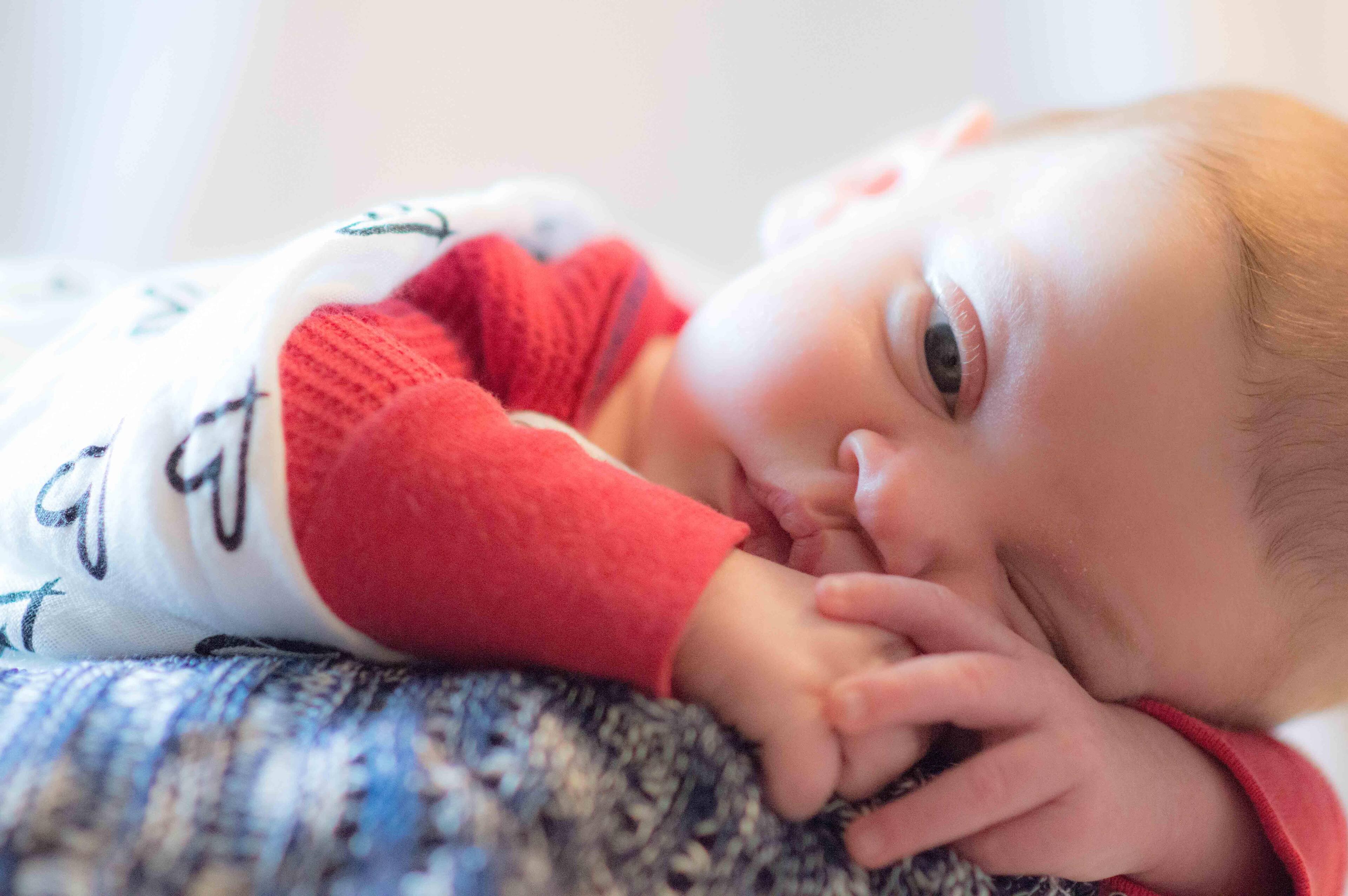 Newest Great Grandson, click to load a larger version