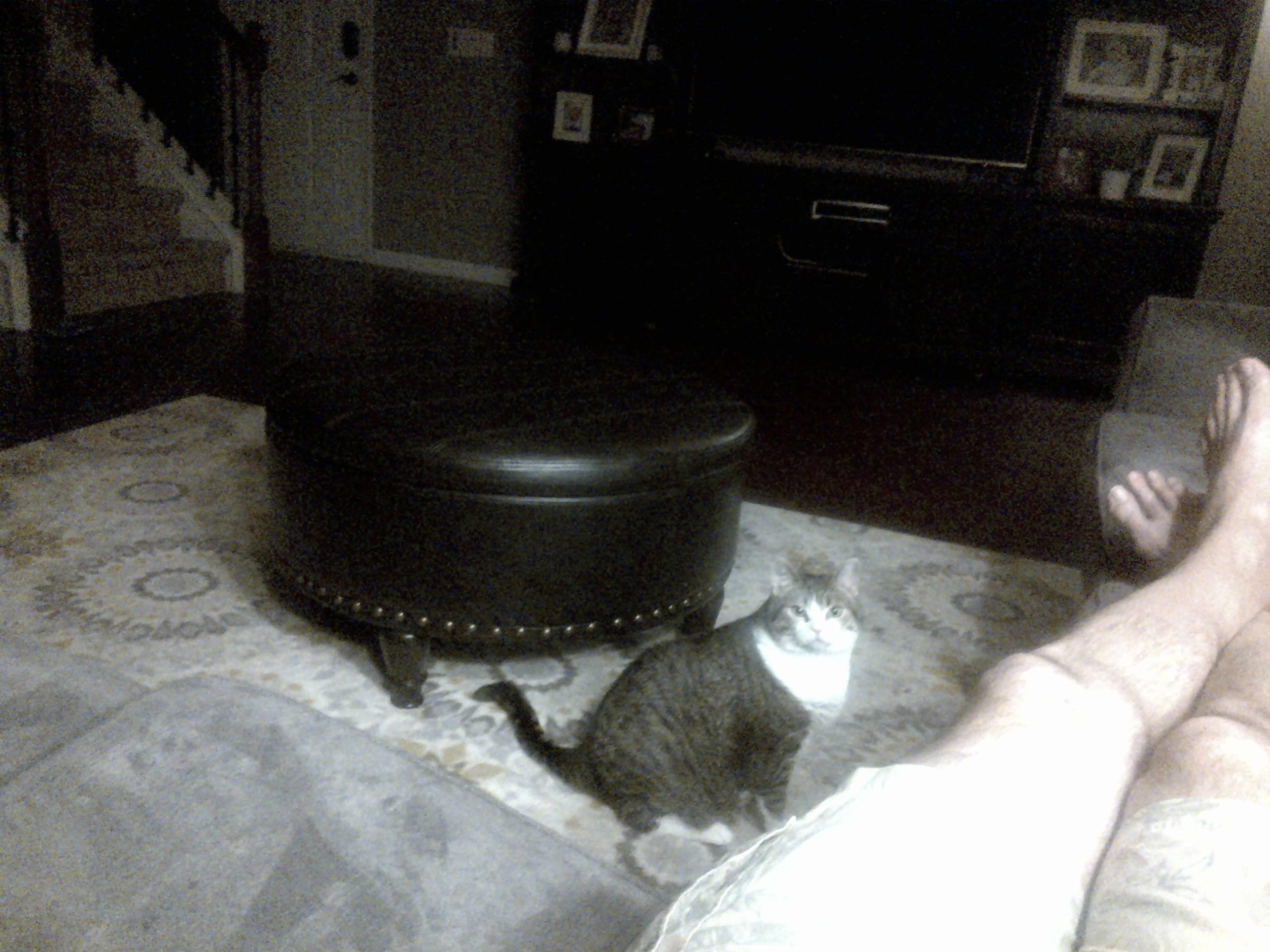 not great., click to load a larger version