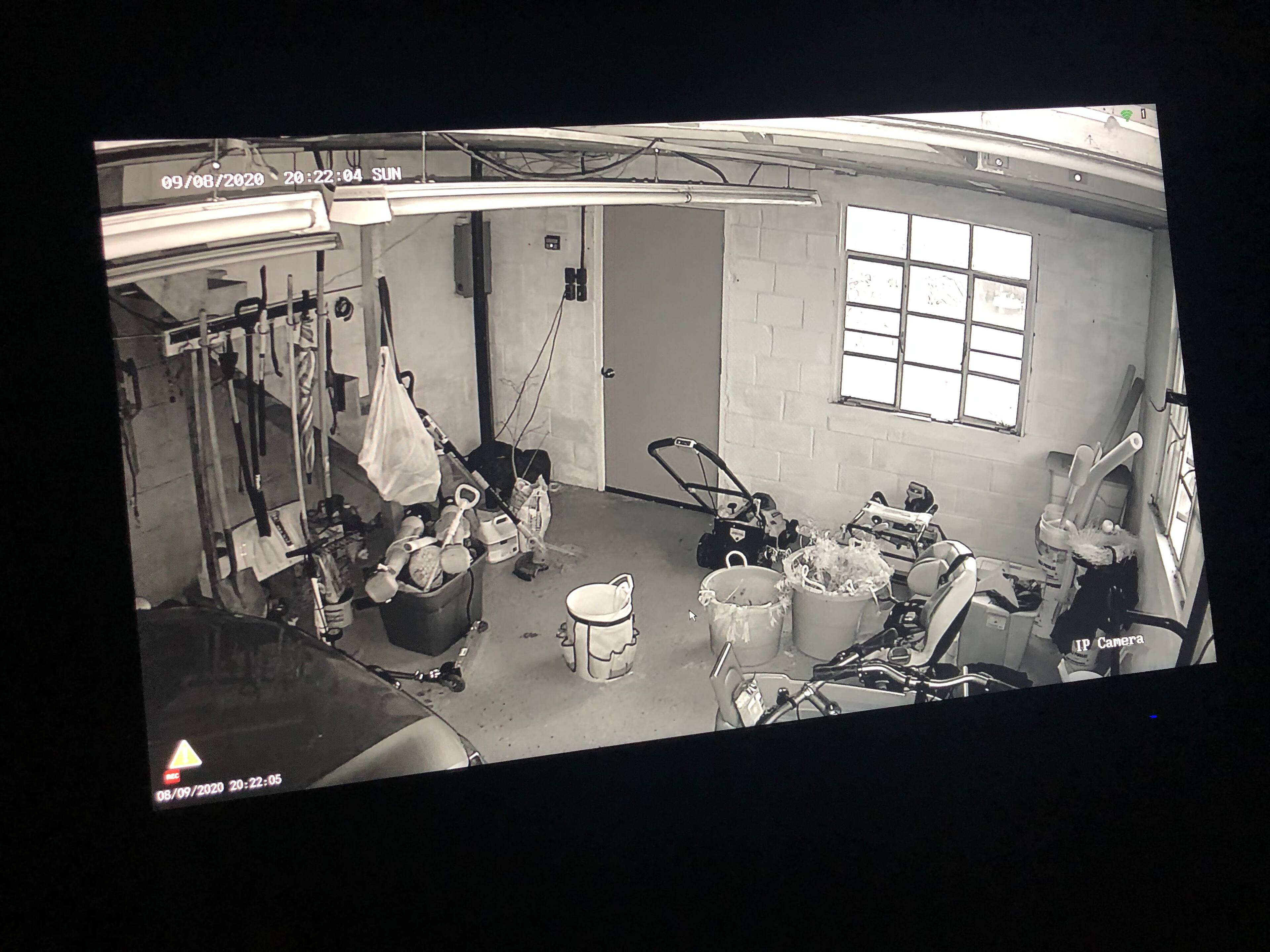 Night vision feed, click to load a larger version