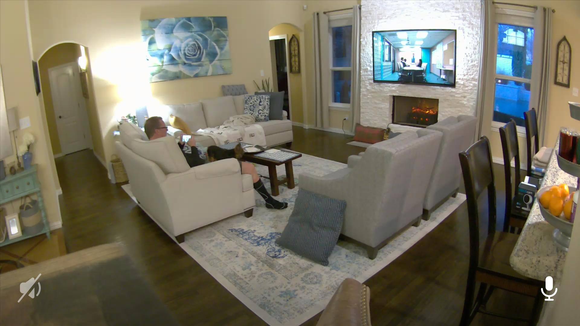 Yorkie Cam, click to load a larger version